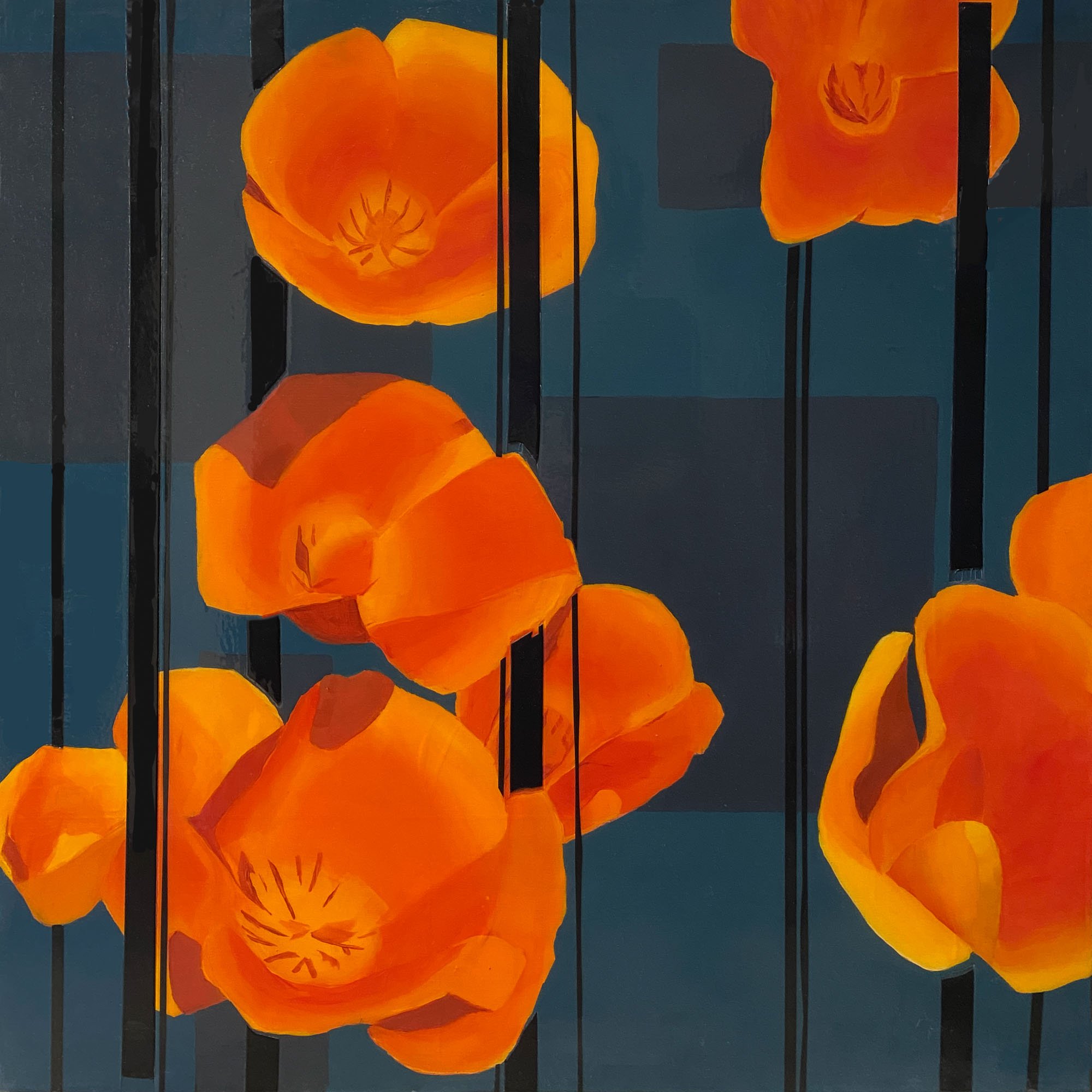 California-Poppies-24x24.jpg