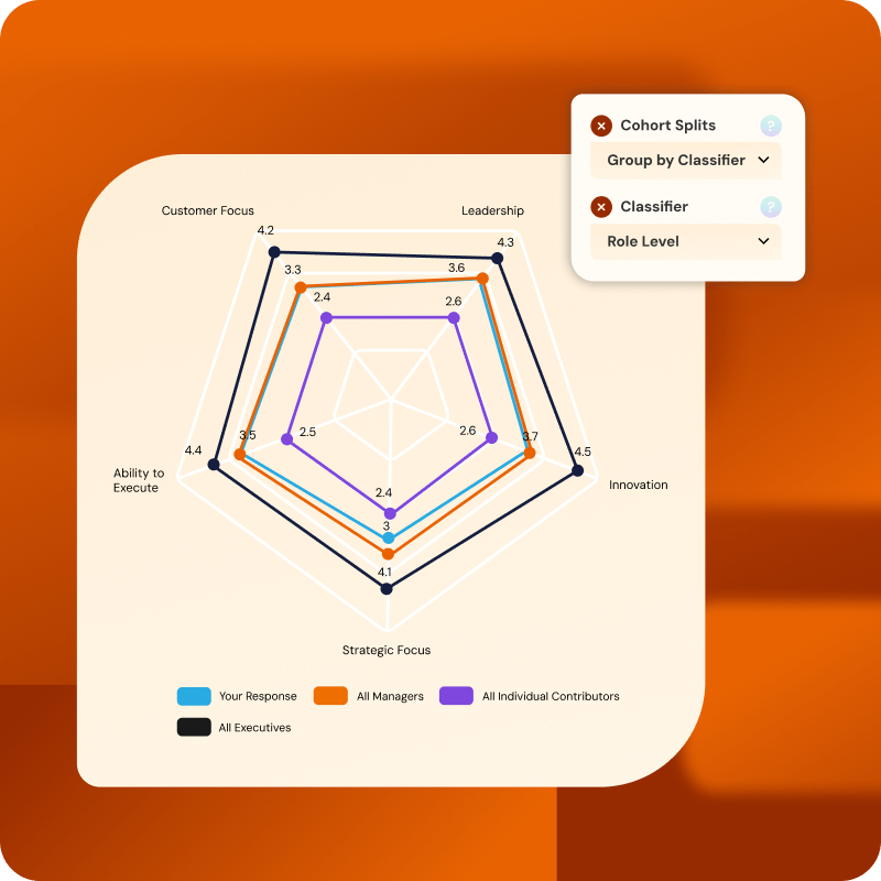 Show Strengths & Gaps with Spider Charts | Brilliant Assessments
