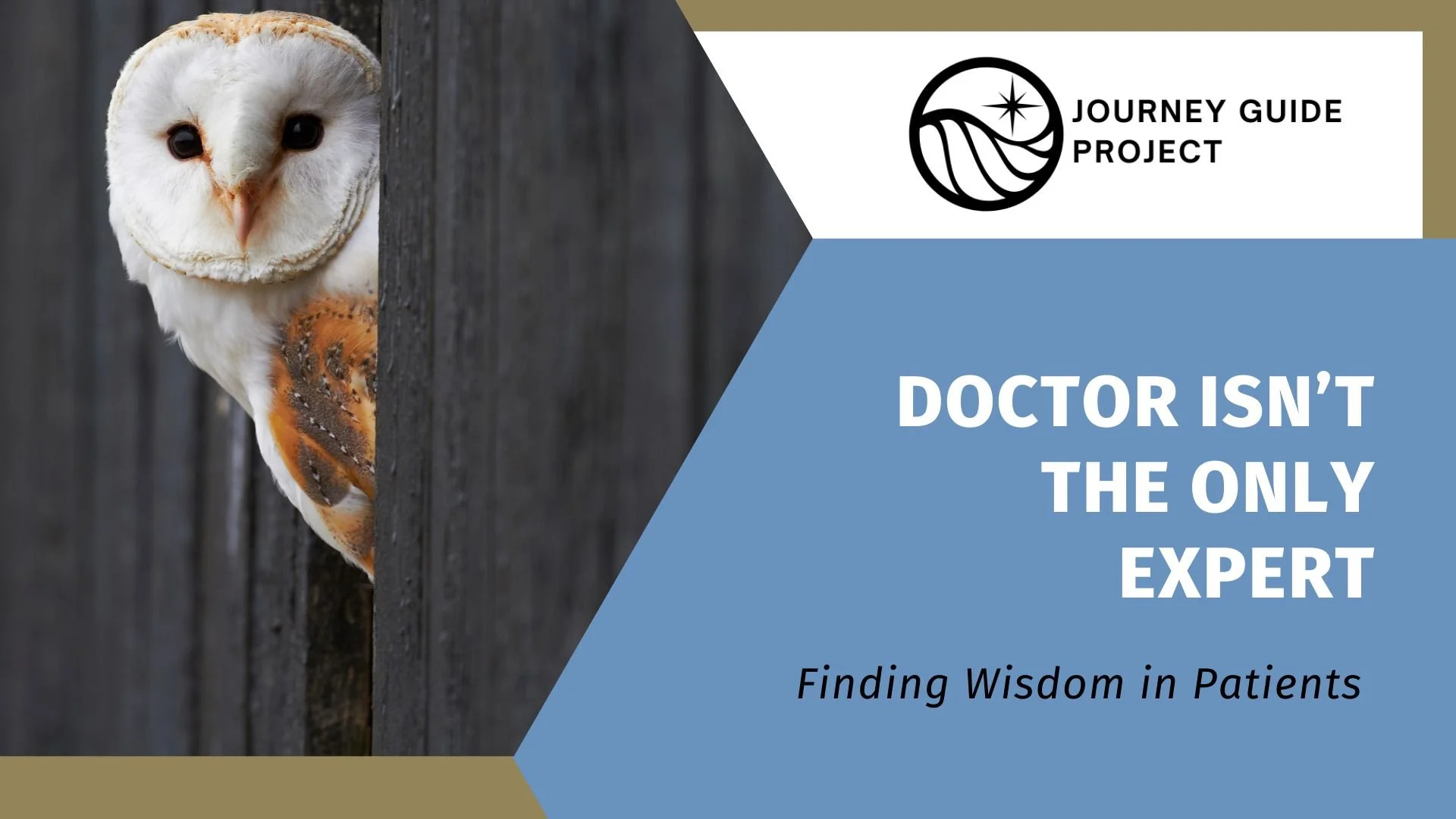 The Doctor Isn't the Only Expert - Journey Guide Project - owl staring