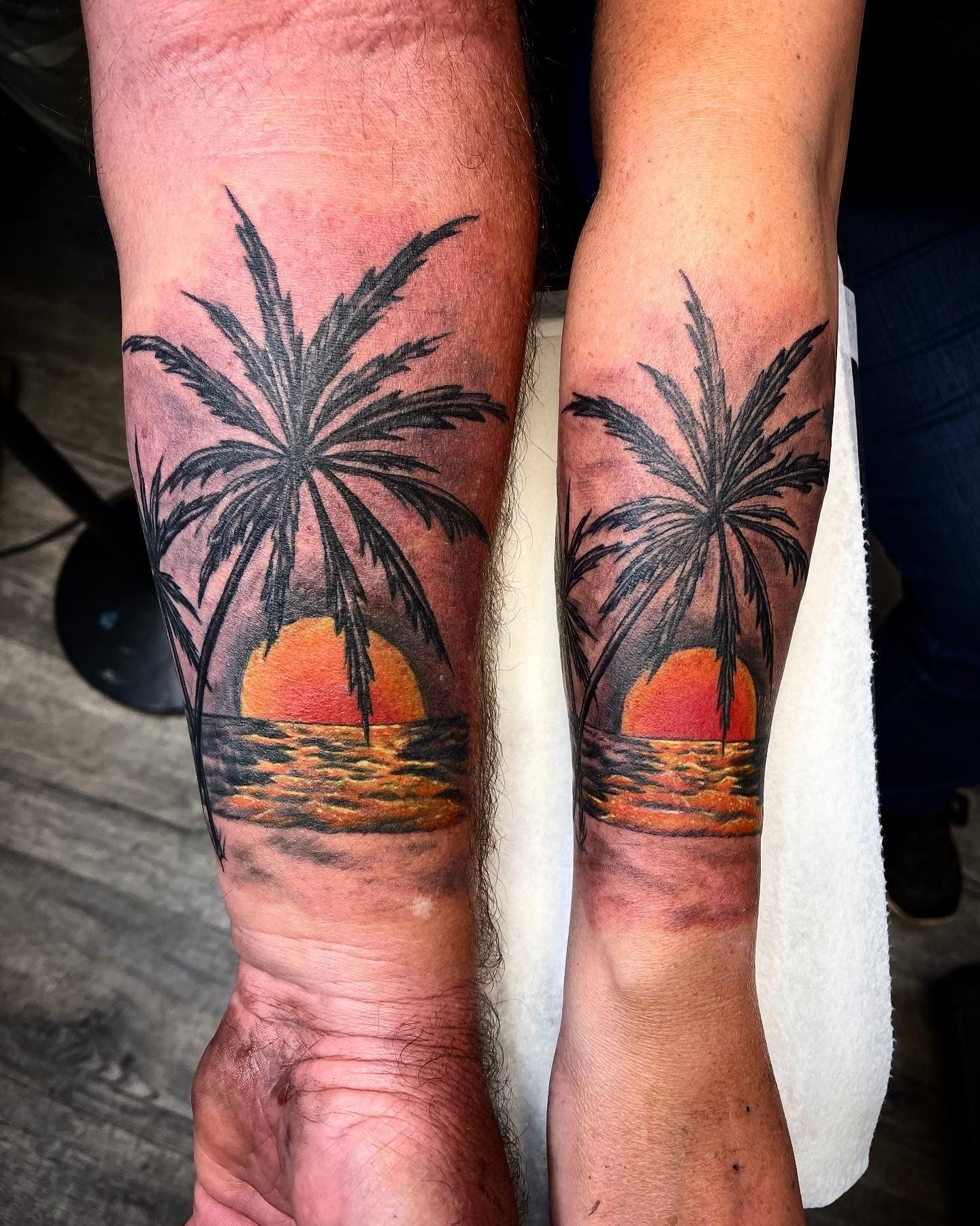 palm trees.jpeg