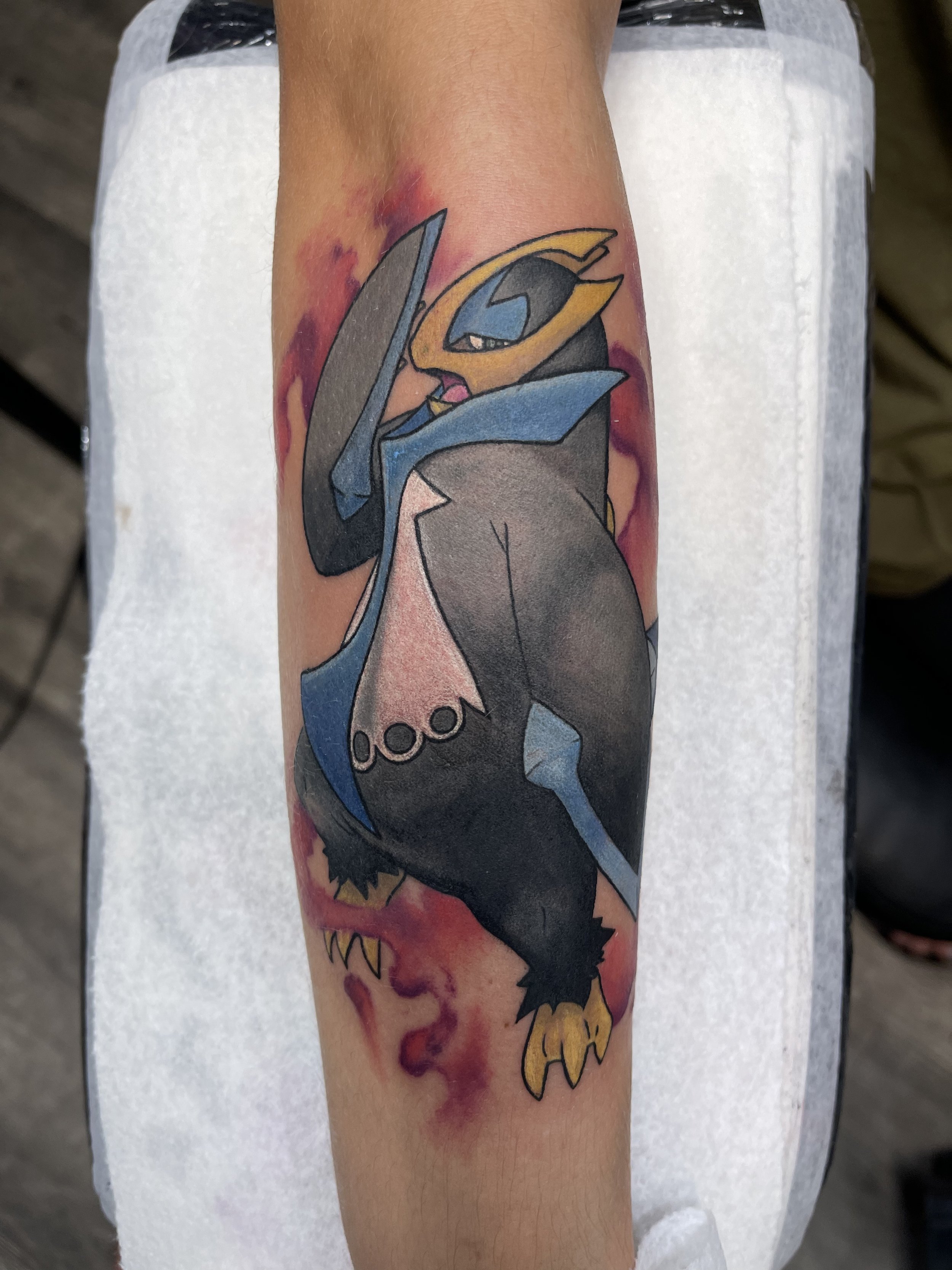 penguin.jpeg