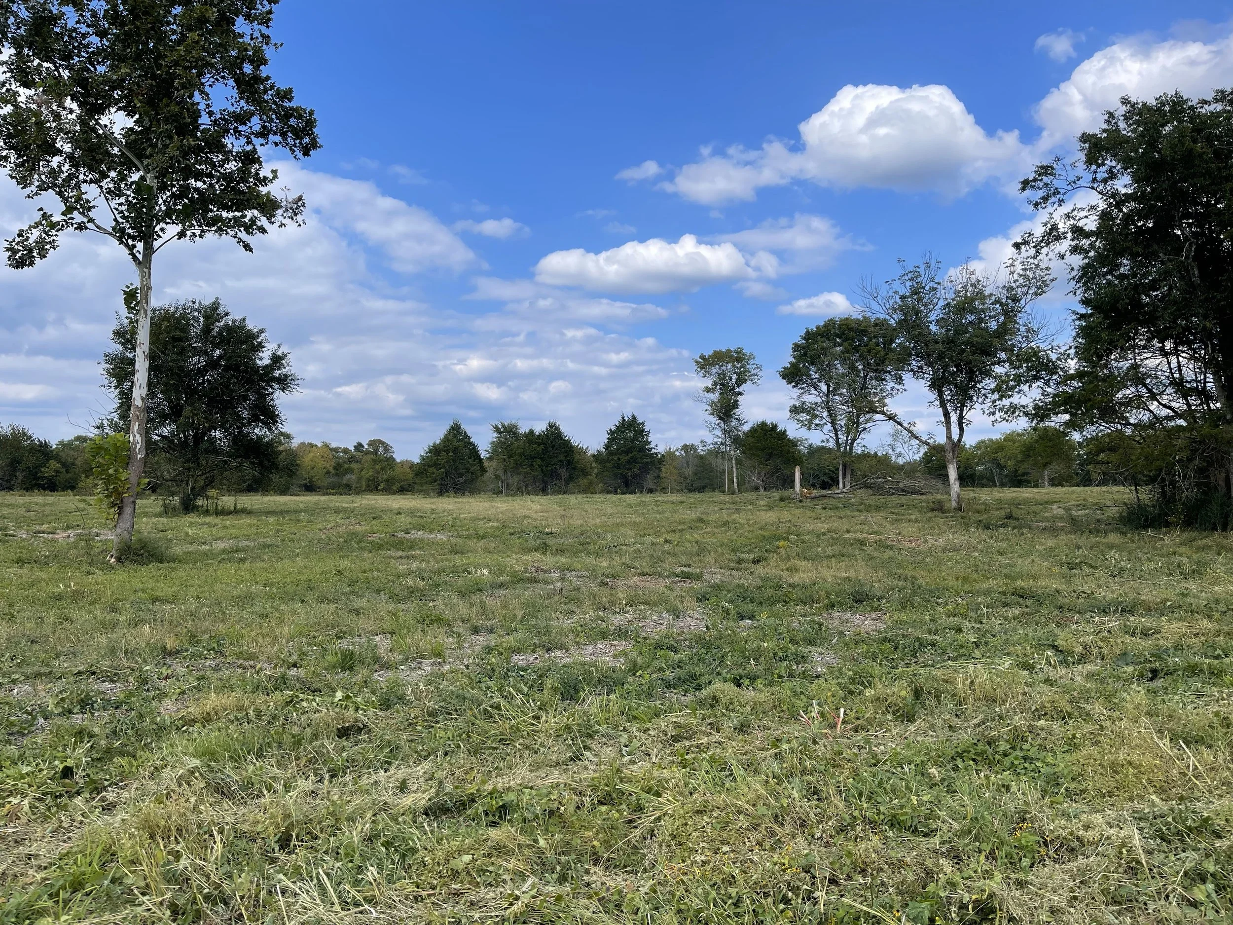 Land for Sale — LES Land Exit Solutions