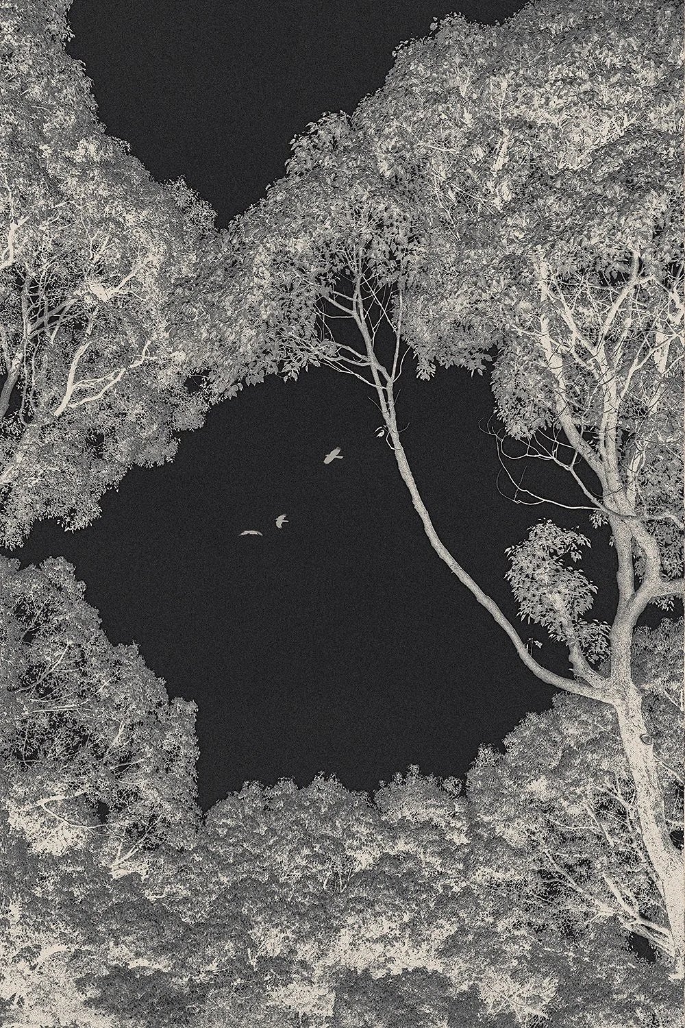 Spaces Above the Garden Gates