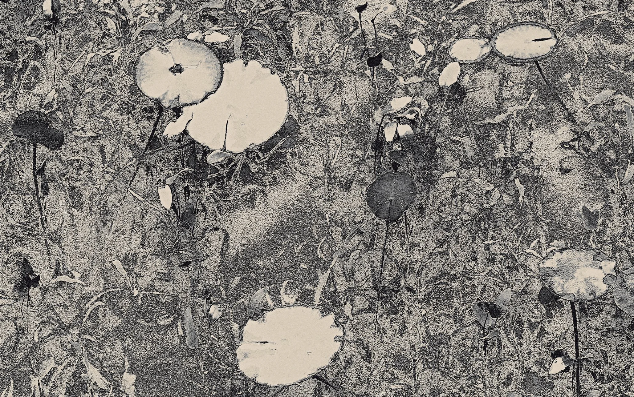 The Atrtist´s Choice Limited Edition represents a selection of photographs that I curated personally, sharing pieces that are closest to my heart. Fine Art Phgotography by Eva Chupikova. Each photograph is available in a limited edition of 10 prints.