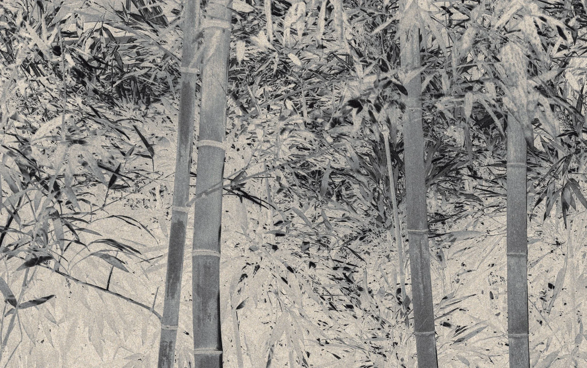 The Atrtist´s Choice Limited Edition represents a selection of photographs that I curated personally, sharing pieces that are closest to my heart. Fine Art Phgotography by Eva Chupikova. Each photograph is available in a limited edition of 10 prints.