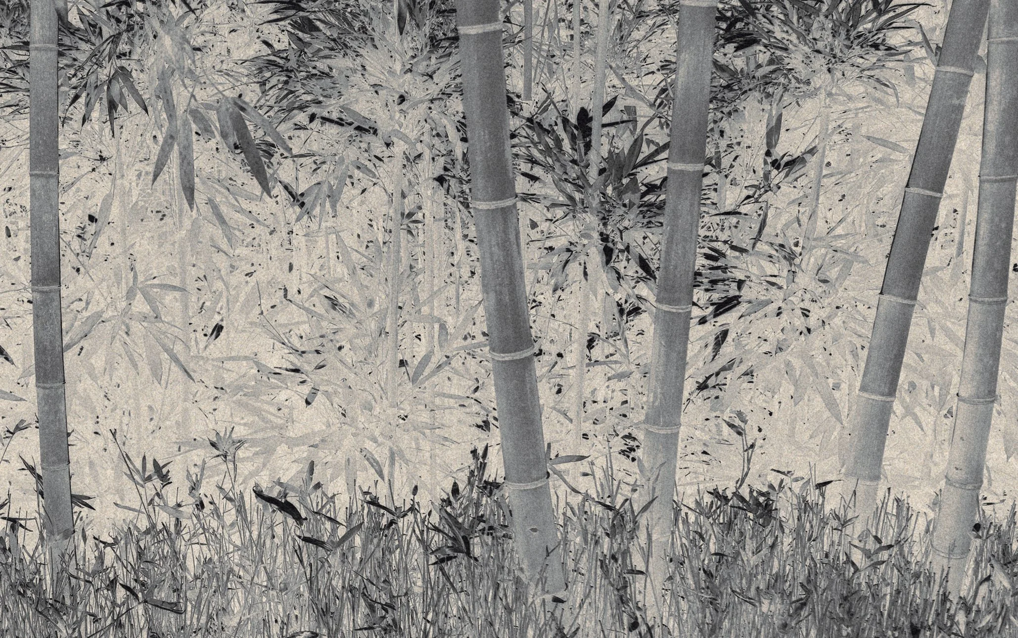 The Atrtist´s Choice Limited Edition represents a selection of photographs that I curated personally, sharing pieces that are closest to my heart. Fine Art Phgotography by Eva Chupikova. Each photograph is available in a limited edition of 10 prints.