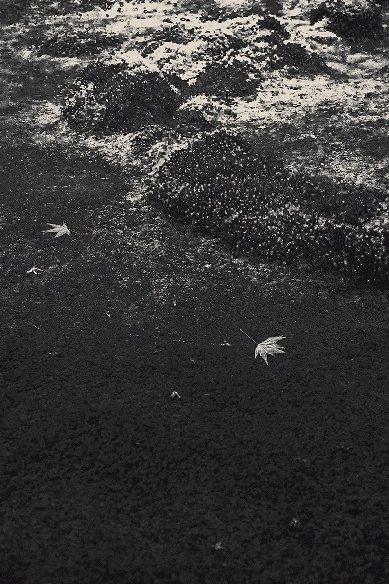 Eva Chupikova, fine art photography, fine art prints, limited edition, Japanese gardens, Japanese aesthethics, Kyoto, Japanese photography, award winning photographer, international photo award competition