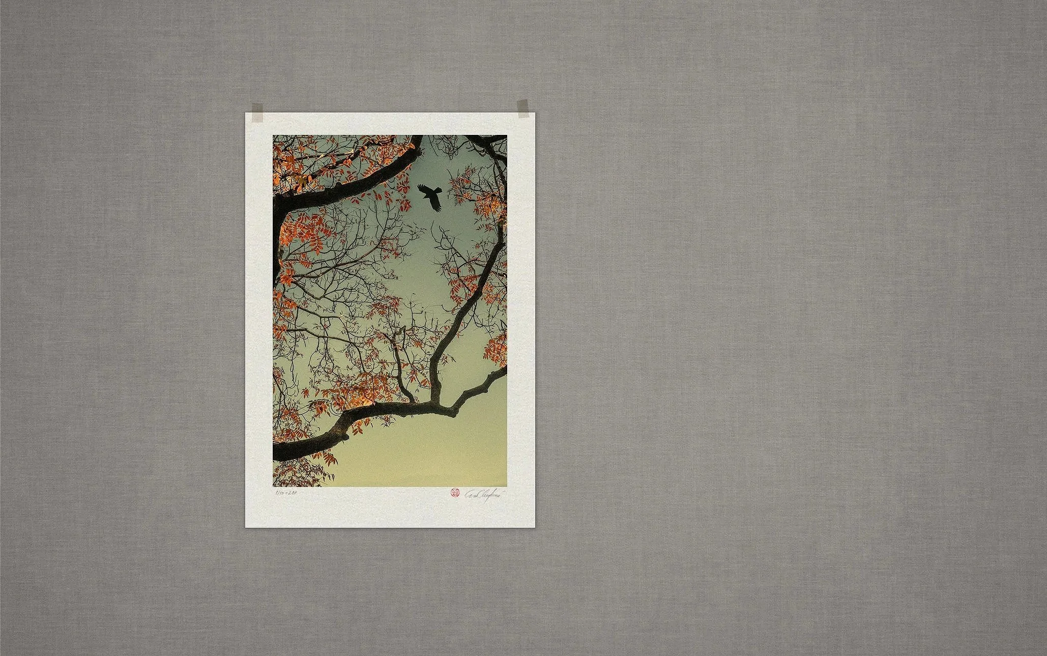 The Atrtist´s Choice Limited Edition represents a selection of photographs that I curated personally, sharing pieces that are closest to my heart. Fine Art Phgotography by Eva Chupikova. Each photograph is available in a limited edition of 10 prints.