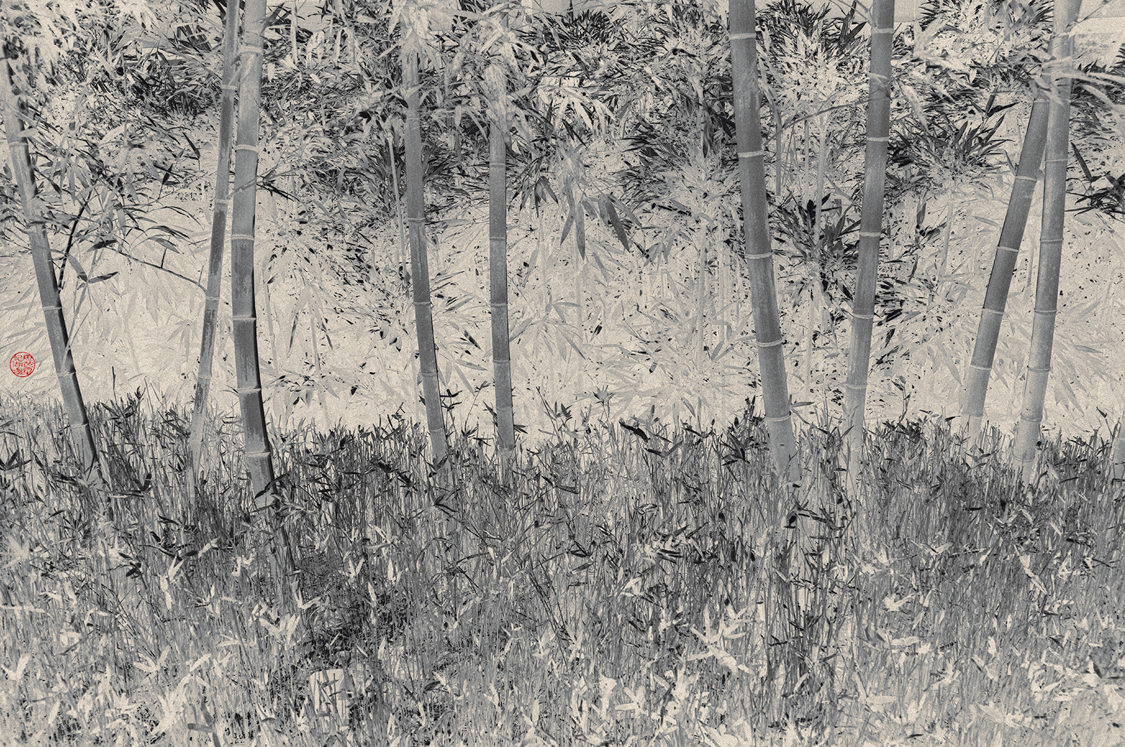 Eva Chupikova, fine art photography, fine art prints, limited edition, Japanese gardens, Japanese aesthethics, Kyoto, Japanese photography, award winning photographer, international photo award competition