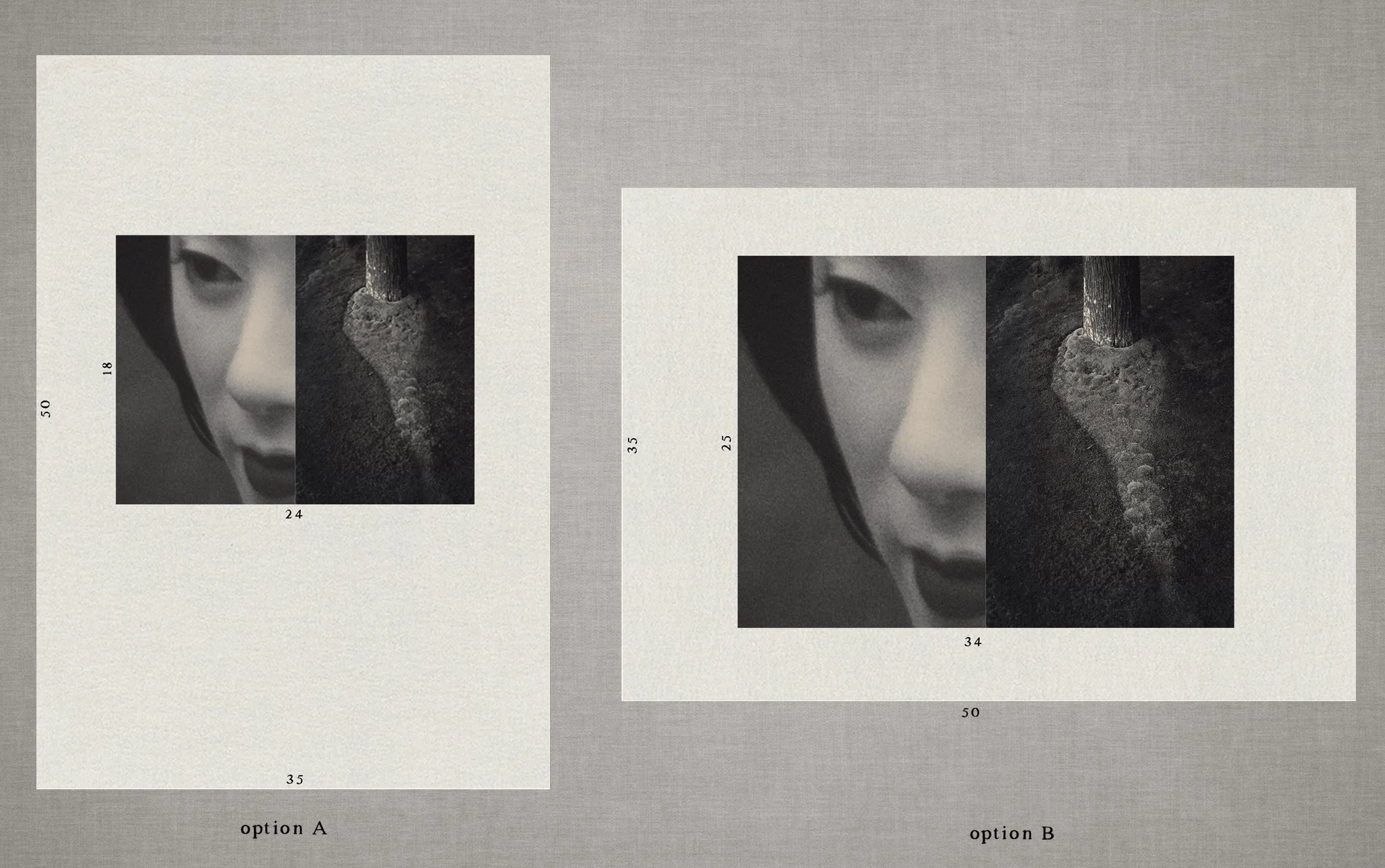 The Atrtist´s Choice Limited Edition represents a selection of photographs that I curated personally, sharing pieces that are closest to my heart. Fine Art Phgotography by Eva Chupikova. Each photograph is available in a limited edition of 10 prints.