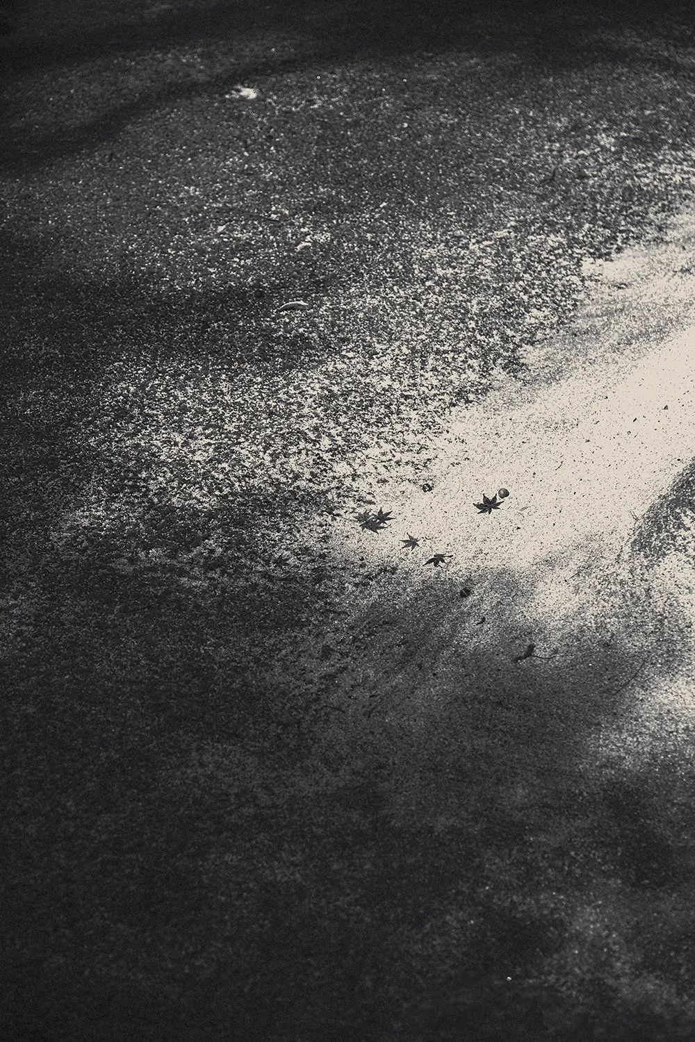 Eva Chupikova, fine art photography, fine art prints, limited edition, Japanese gardens, Japanese aesthethics, Kyoto, Japanese photography, award winning photographer, international photo award competition