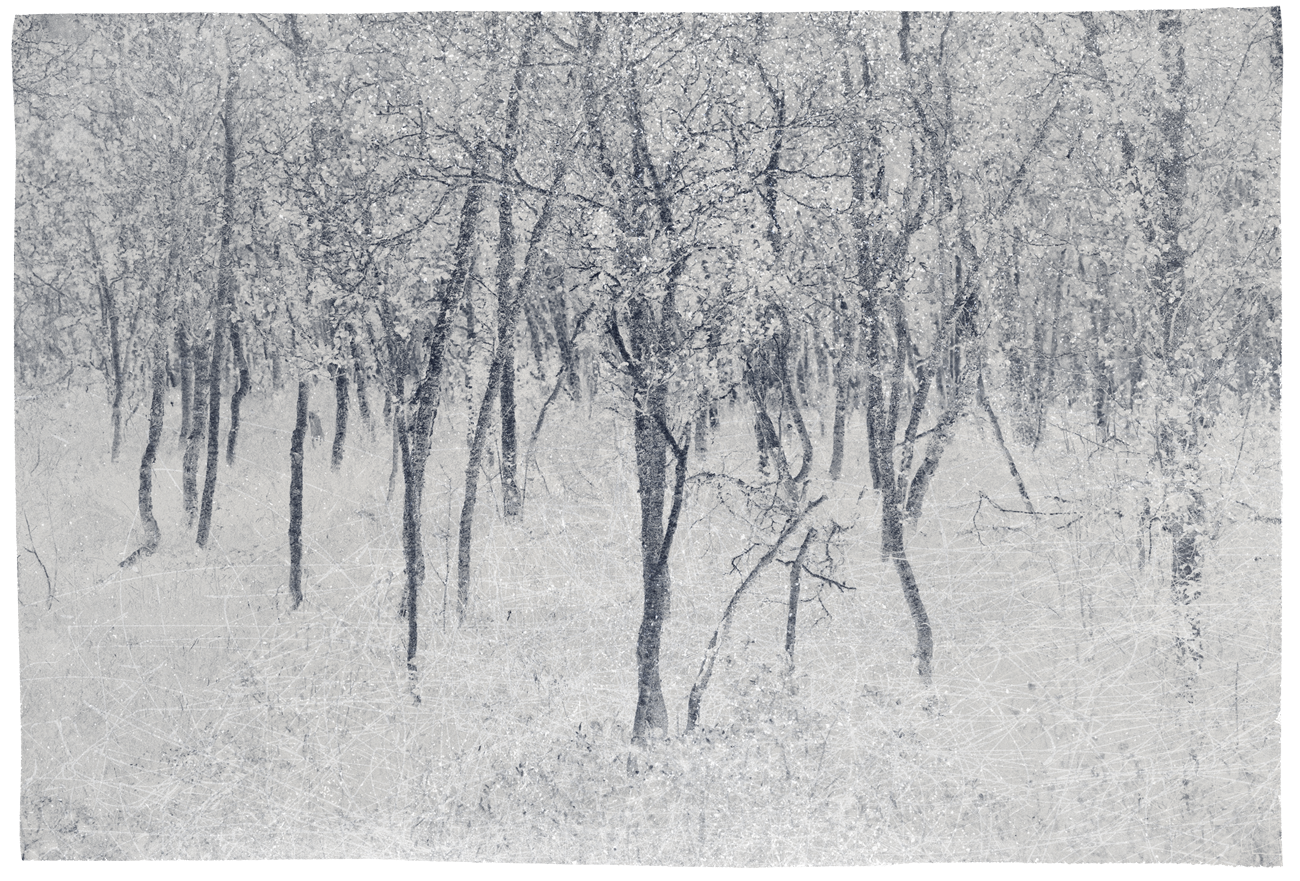 Eva Chupikova, fine art photography, fine art prints, limited edition, Japanese gardens, Japanese aesthethics, Kyoto, Japanese photography, award winning photographer, international photo award competition