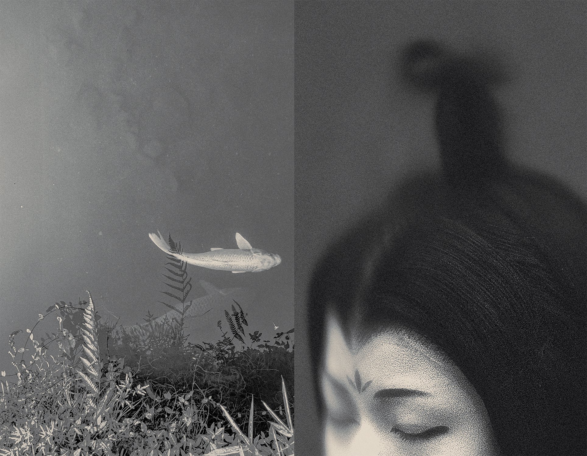 Eva Chupikova, fine art photography, fine art prints, limited edition, Japanese gardens, Japanese aesthethics, Kyoto, Japanese photography, award winning photographer, international photo award competition