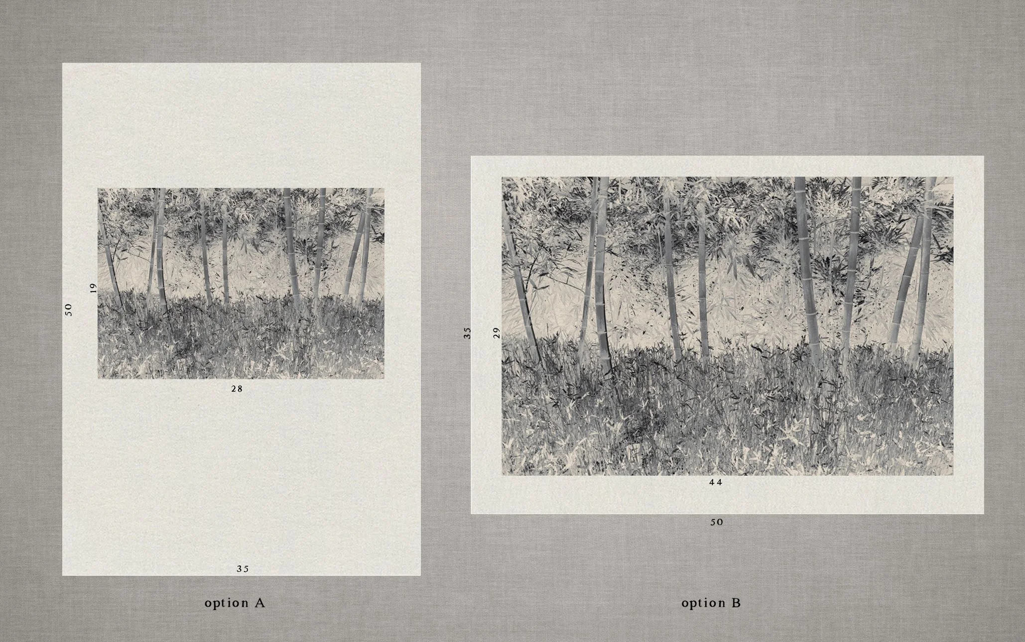 The Atrtist´s Choice Limited Edition represents a selection of photographs that I curated personally, sharing pieces that are closest to my heart. Fine Art Phgotography by Eva Chupikova. Each photograph is available in a limited edition of 10 prints.