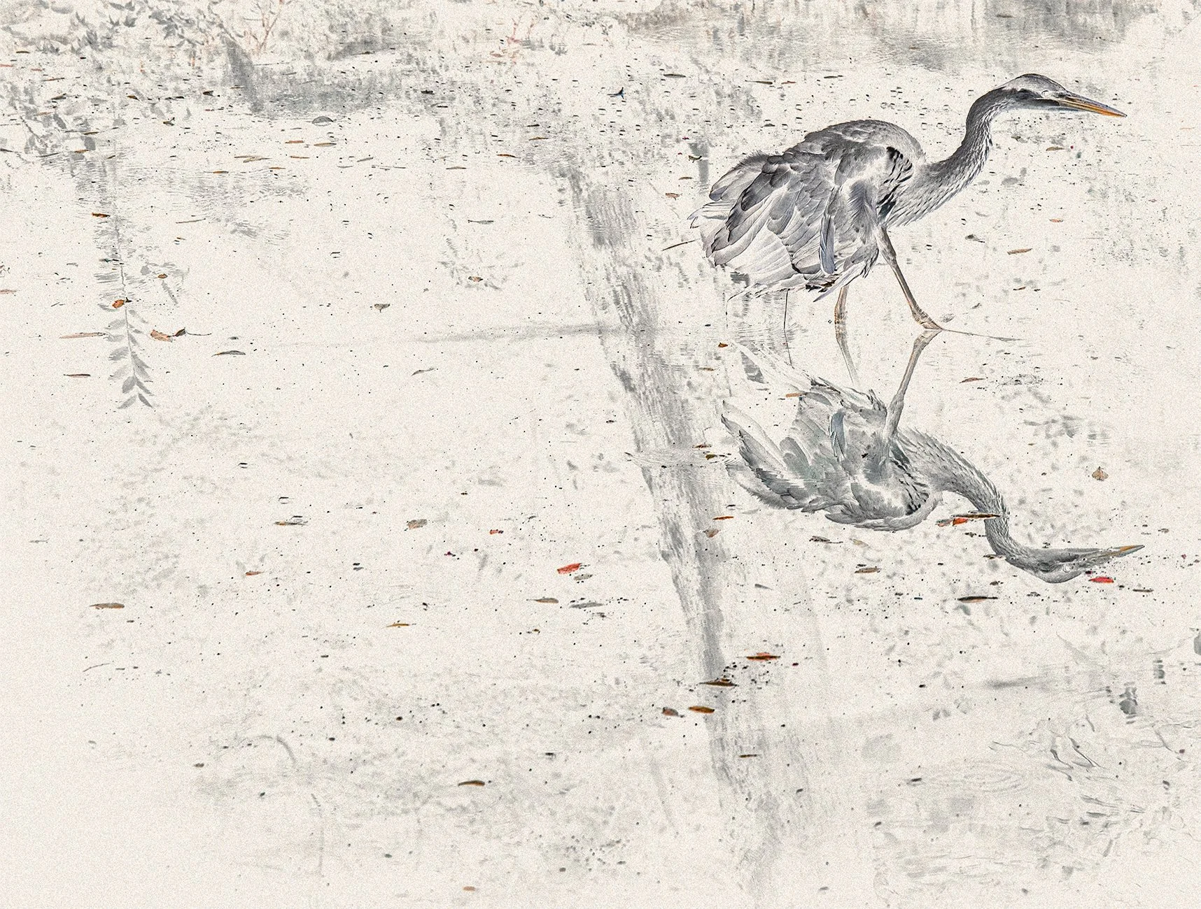 Eva Chupikova, fine art photography, fine art prints, limited edition, Japanese gardens, Japanese aesthethics, Kyoto, Japanese photography, award winning photographer, international photo award competition