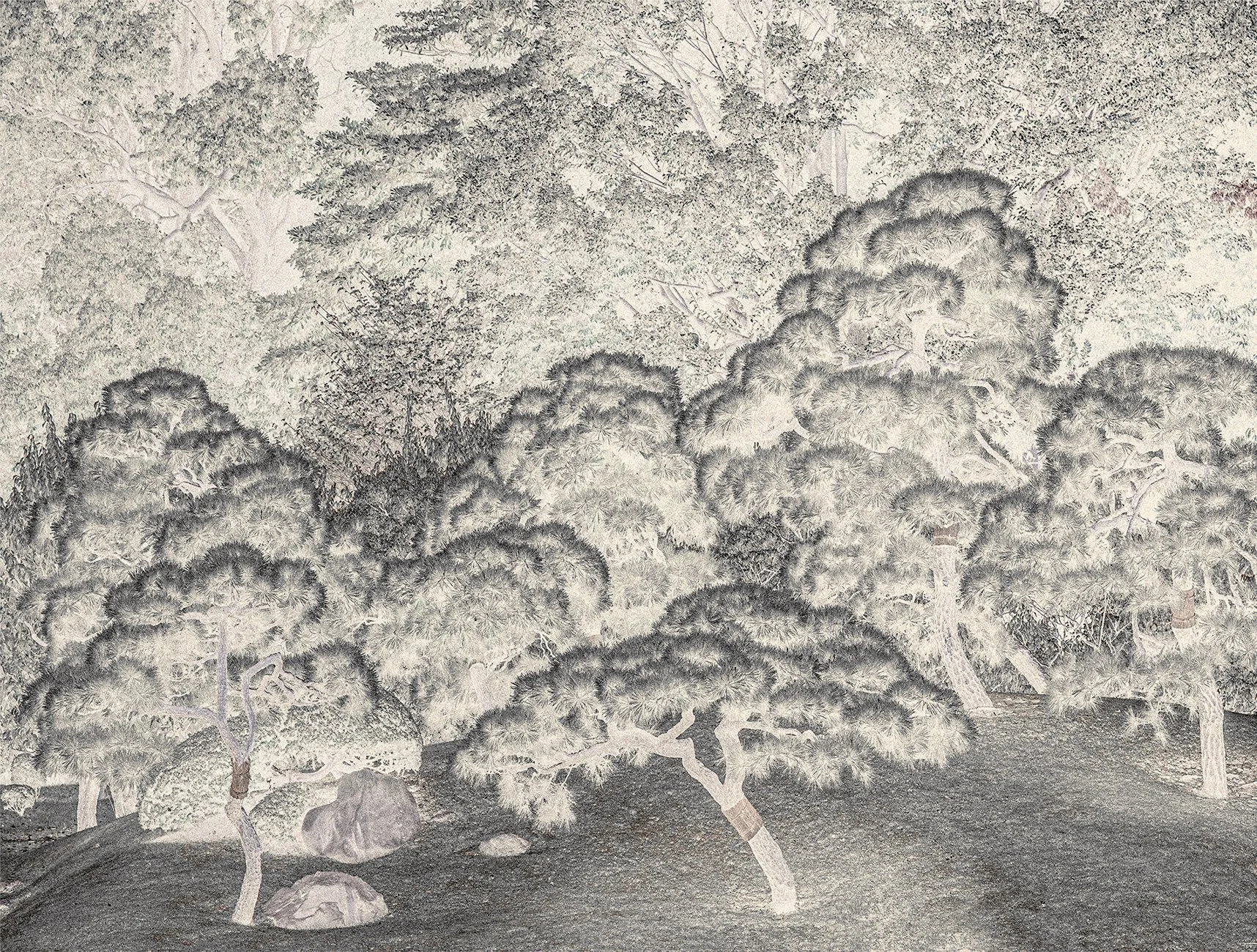Eva Chupikova, fine art photography, fine art prints, limited edition, Japanese gardens, Japanese aesthethics, Kyoto, Japanese photography, award winning photographer, international photo award competition