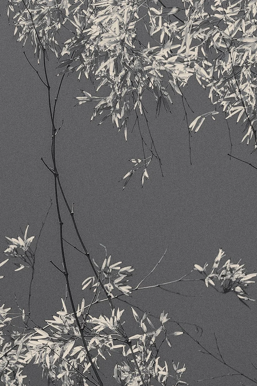 Eva Chupikova, fine art photography, fine art prints, limited edition, Japanese gardens, Japanese aesthethics, Kyoto, Japanese photography, award winning photographer, international photo award competition