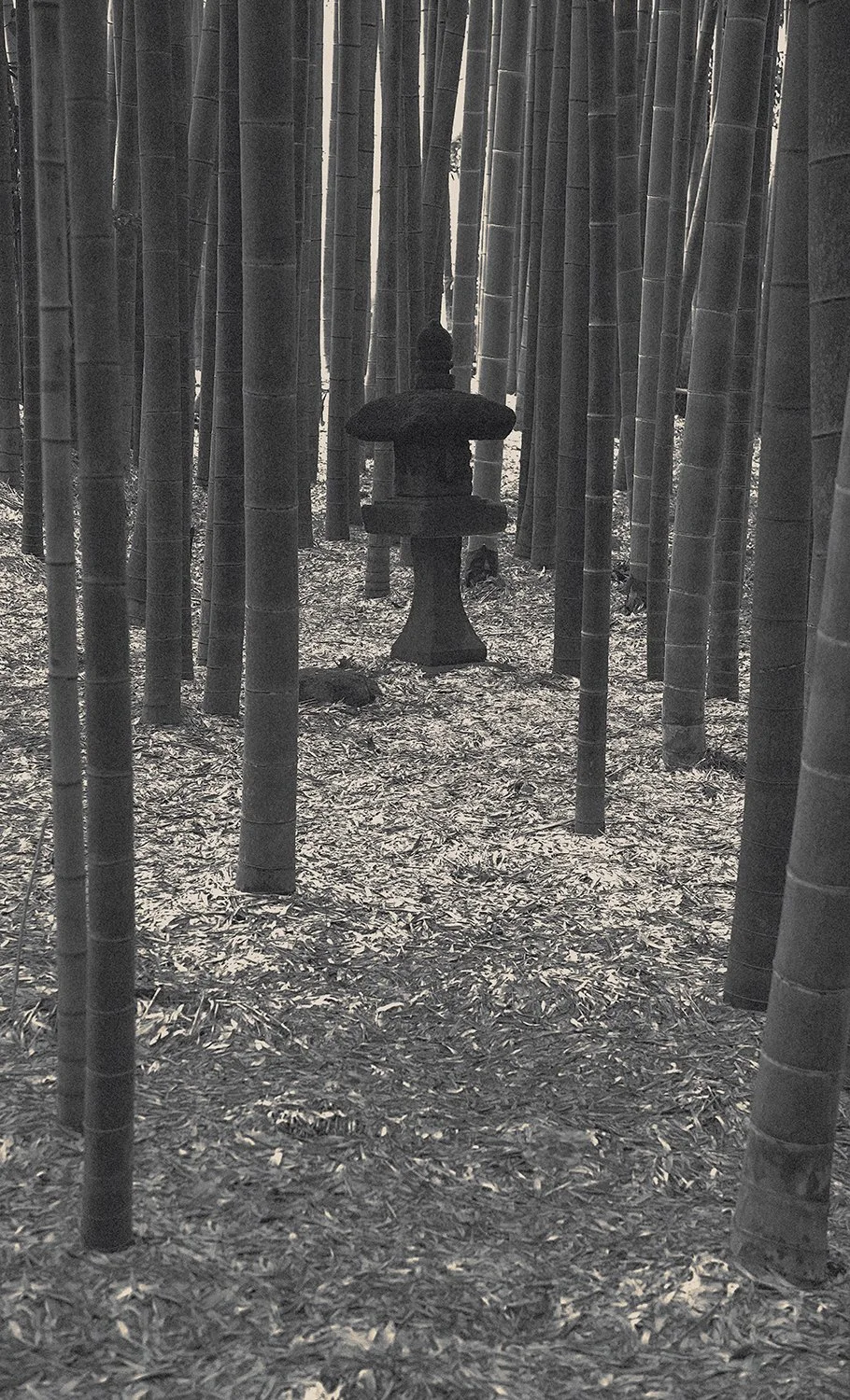 Eva Chupikova, fine art photography, fine art prints, limited edition, Japanese gardens, Japanese aesthethics, Kyoto, Japanese photography, award winning photographer, international photo award competition