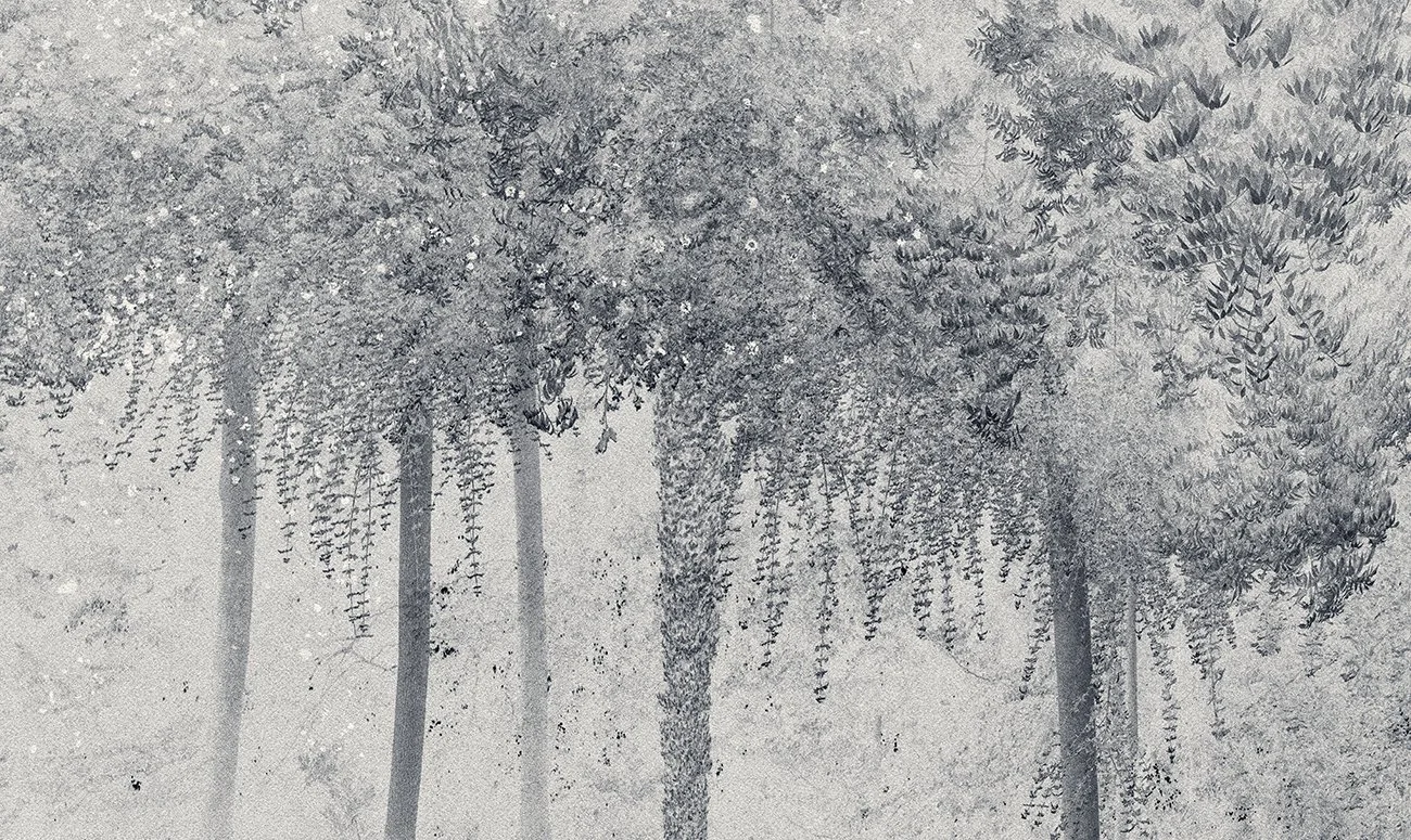 Eva Chupikova, fine art photography, fine art prints, limited edition, Japanese gardens, Japanese aesthethics, Kyoto, Japanese photography, award winning photographer, international photo award competition