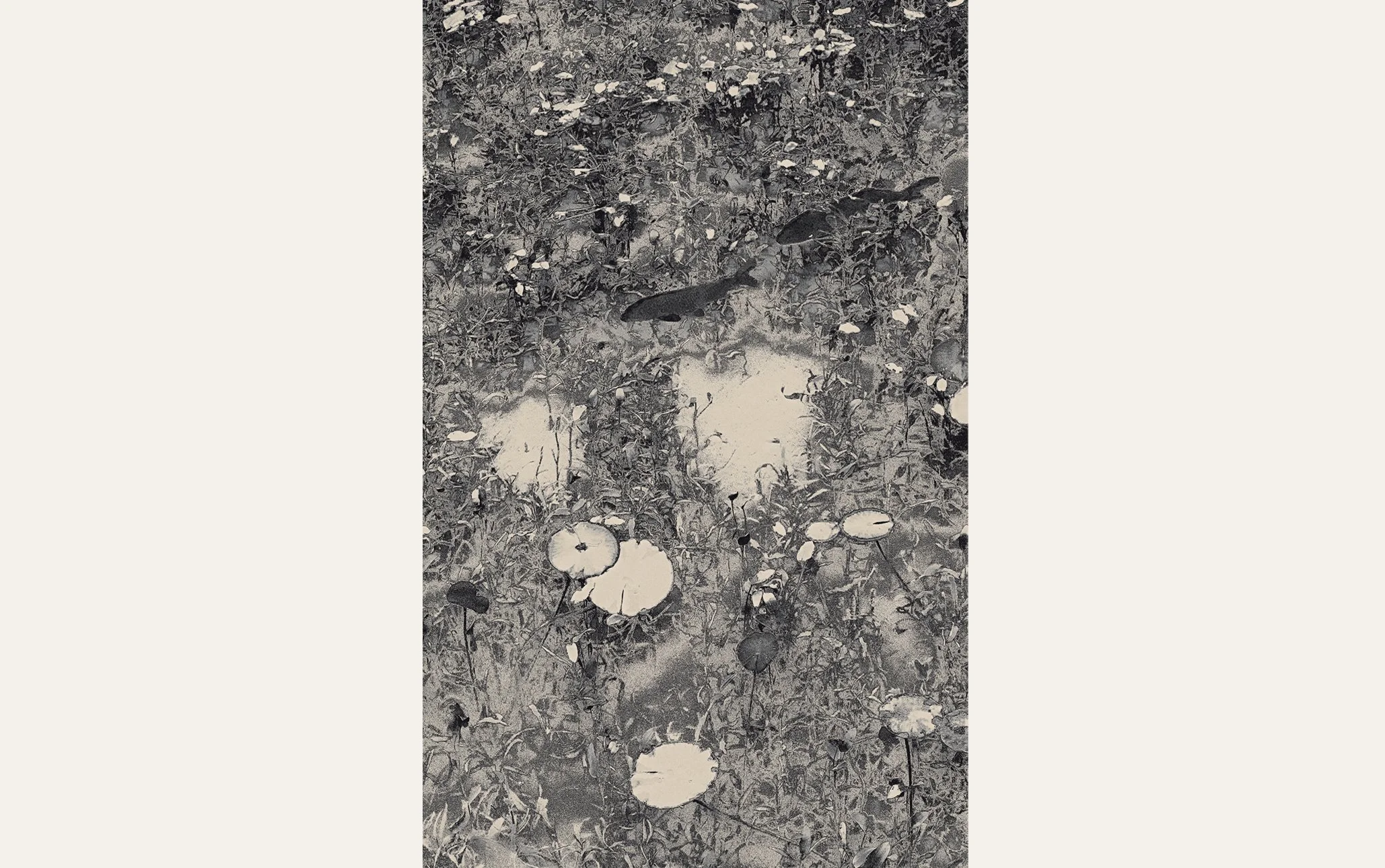 The Atrtist´s Choice Limited Edition represents a selection of photographs that I curated personally, sharing pieces that are closest to my heart. Fine Art Phgotography by Eva Chupikova. Each photograph is available in a limited edition of 10 prints.