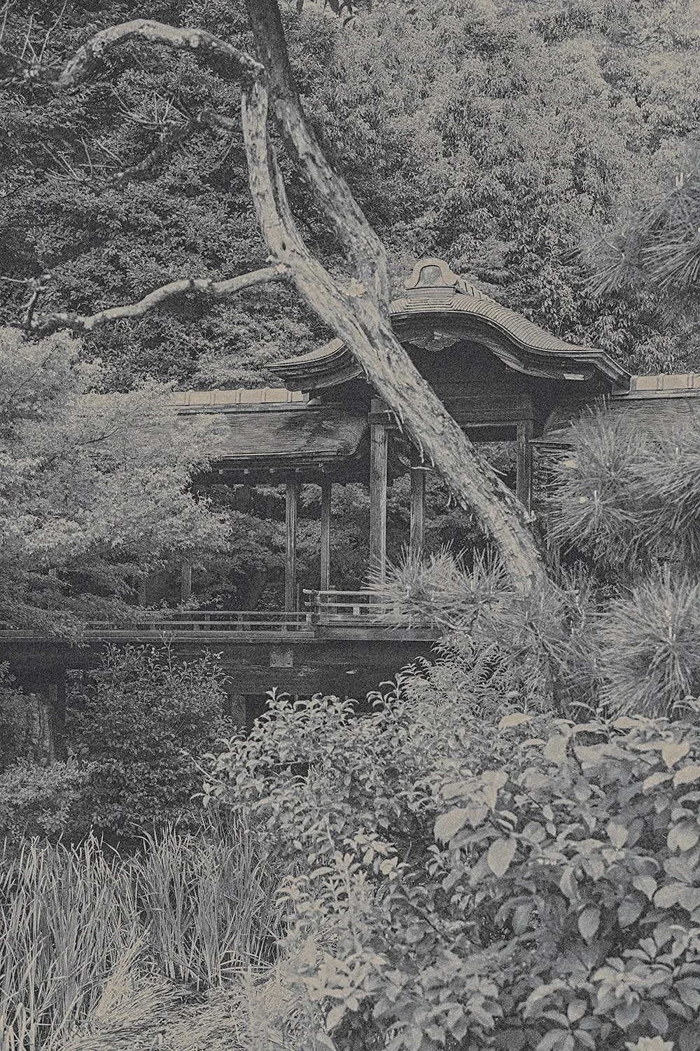 Eva Chupikova, fine art photography, fine art prints, limited edition, Japanese gardens, Japanese aesthethics, Kyoto, Japanese photography, award winning photographer, international photo award competition