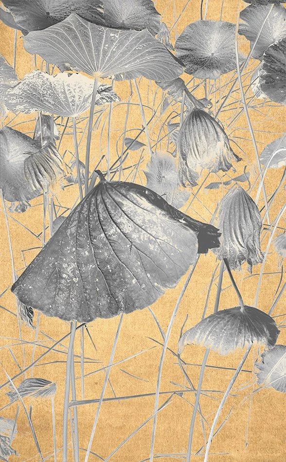 Eva Chupikova, fine art photography, fine art prints, limited edition, Japanese gardens, Japanese aesthethics, Kyoto, Japanese photography, award winning photographer, international photo award competition