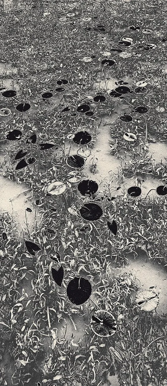 Eva Chupikova, fine art photography, fine art prints, limited edition, Japanese gardens, Japanese aesthethics, Kyoto, Japanese photography, award winning photographer, international photo award competition