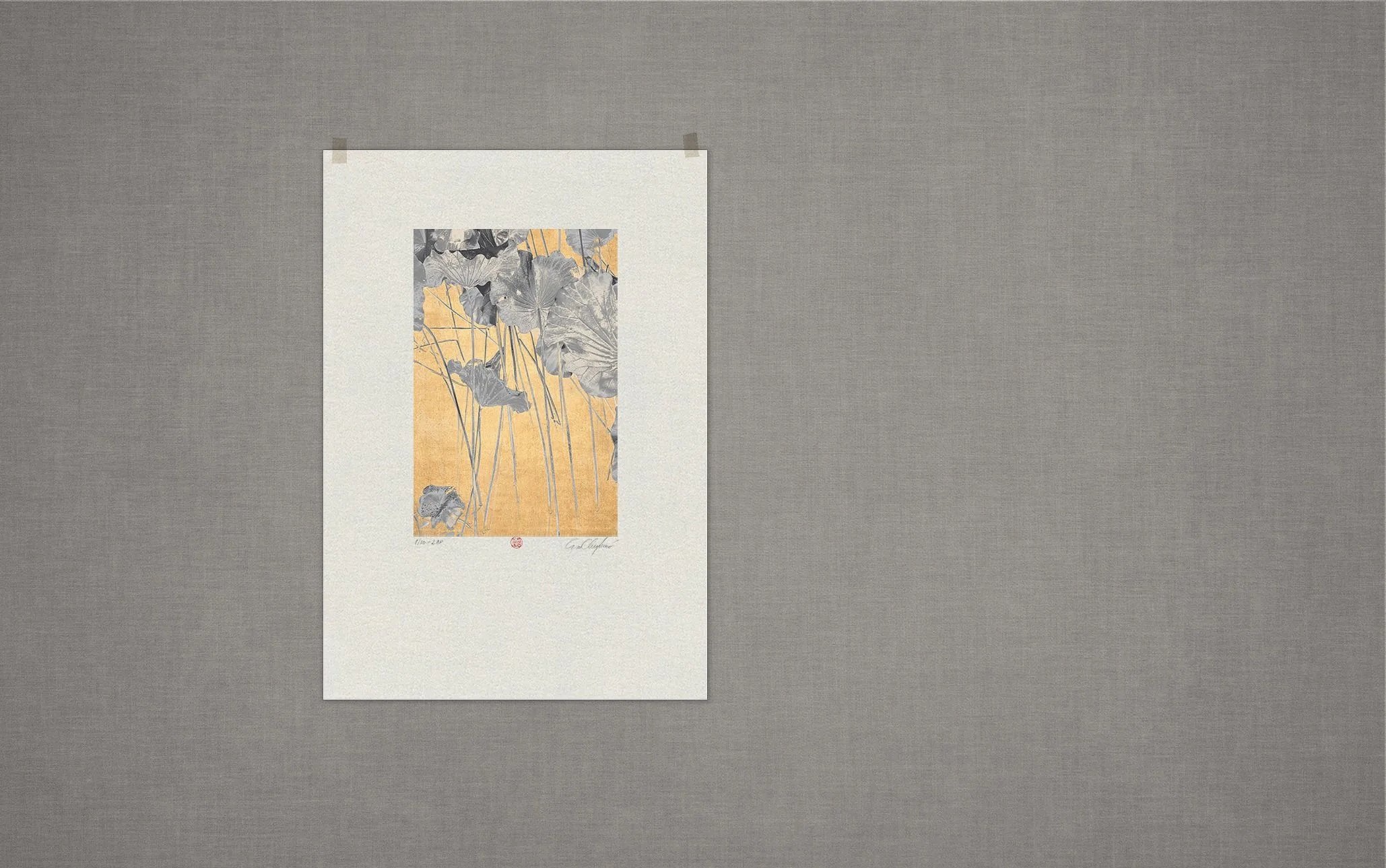 eva chupikova photography limited edition