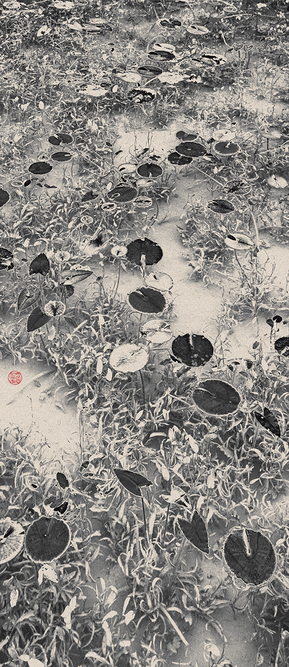 Eva Chupikova, fine art photography, fine art prints, limited edition, Japanese gardens, Japanese aesthethics, Kyoto, Japanese photography, award winning photographer, international photo award competition