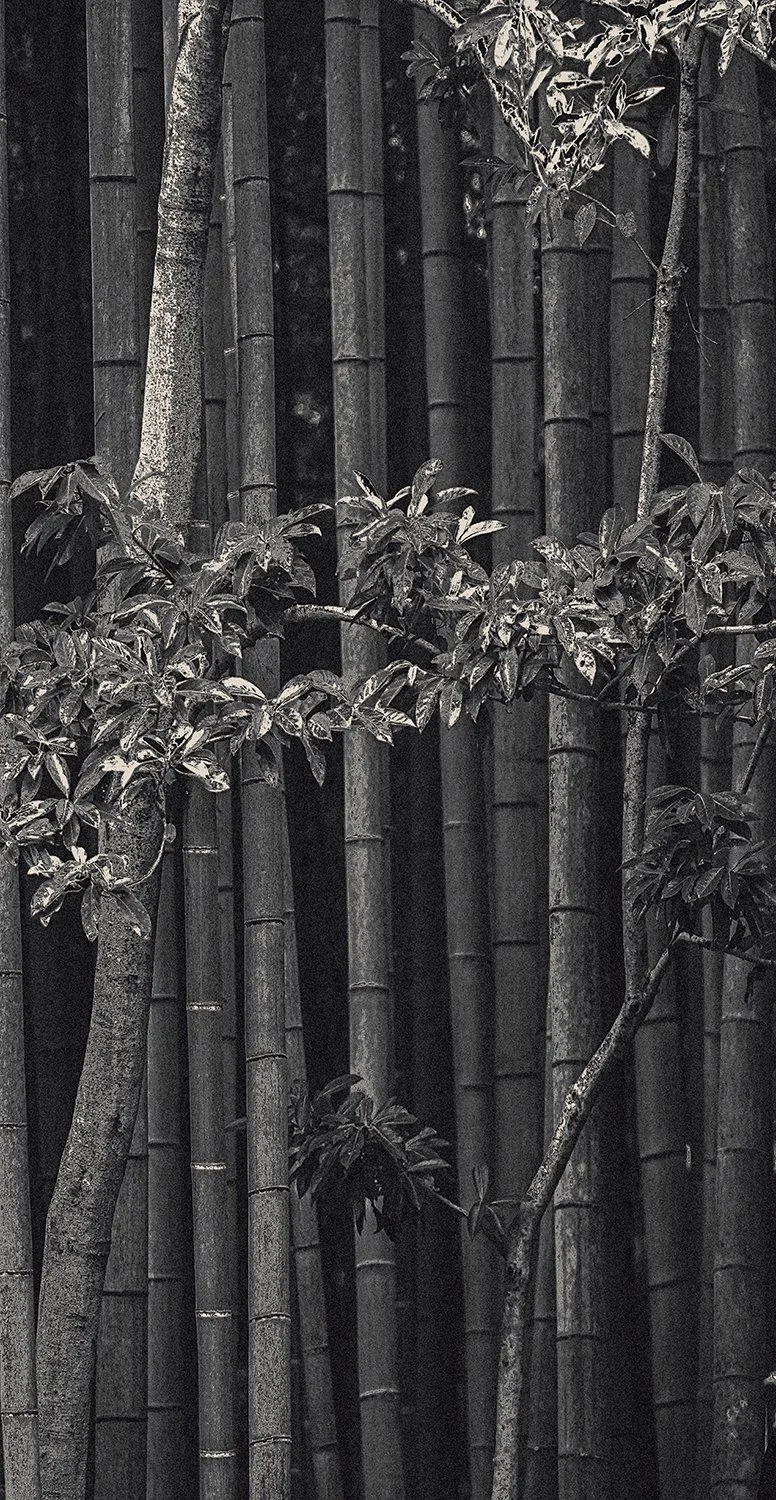 Eva Chupikova, fine art photography, fine art prints, limited edition, Japanese gardens, Japanese aesthethics, Kyoto, Japanese photography, award winning photographer, international photo award competition