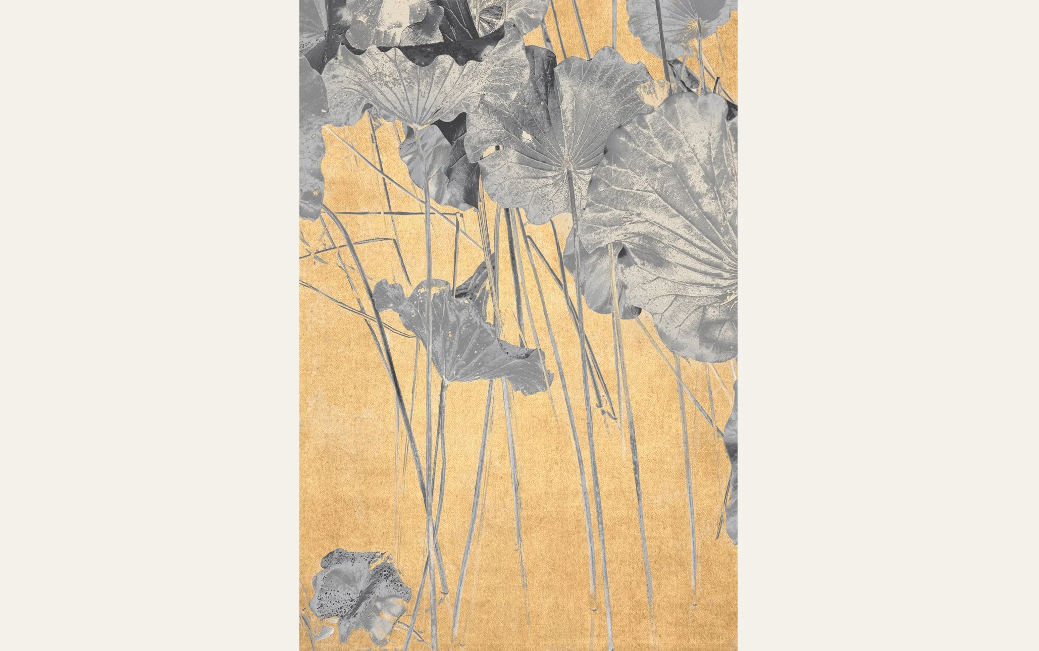 The Atrtist´s Choice Limited Edition represents a selection of photographs that I curated personally, sharing pieces that are closest to my heart. Fine Art Phgotography by Eva Chupikova. Each photograph is available in a limited edition of 10 prints.