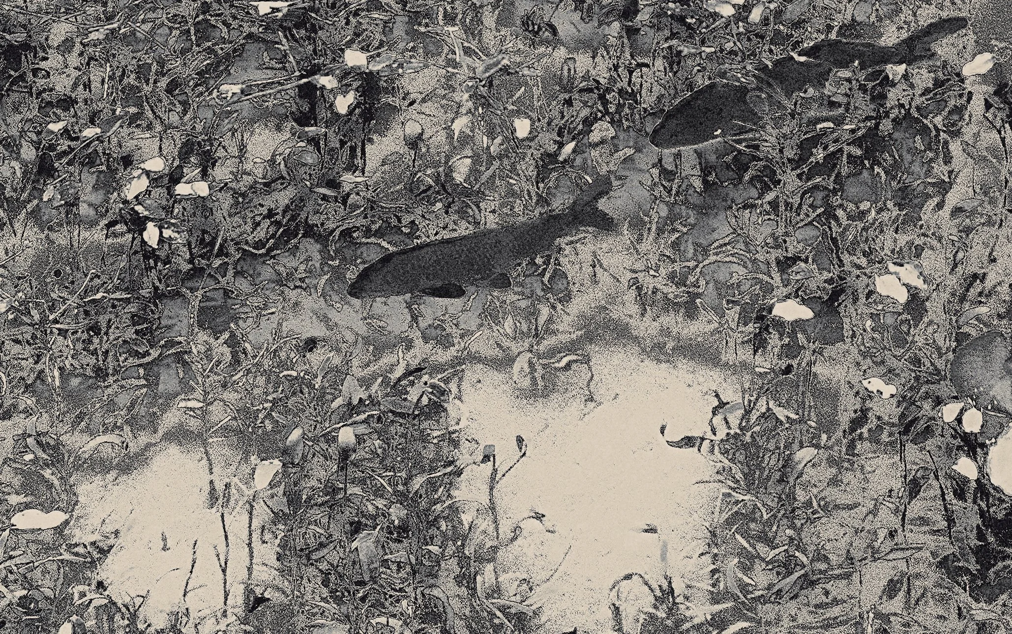 The Atrtist´s Choice Limited Edition represents a selection of photographs that I curated personally, sharing pieces that are closest to my heart. Fine Art Phgotography by Eva Chupikova. Each photograph is available in a limited edition of 10 prints.