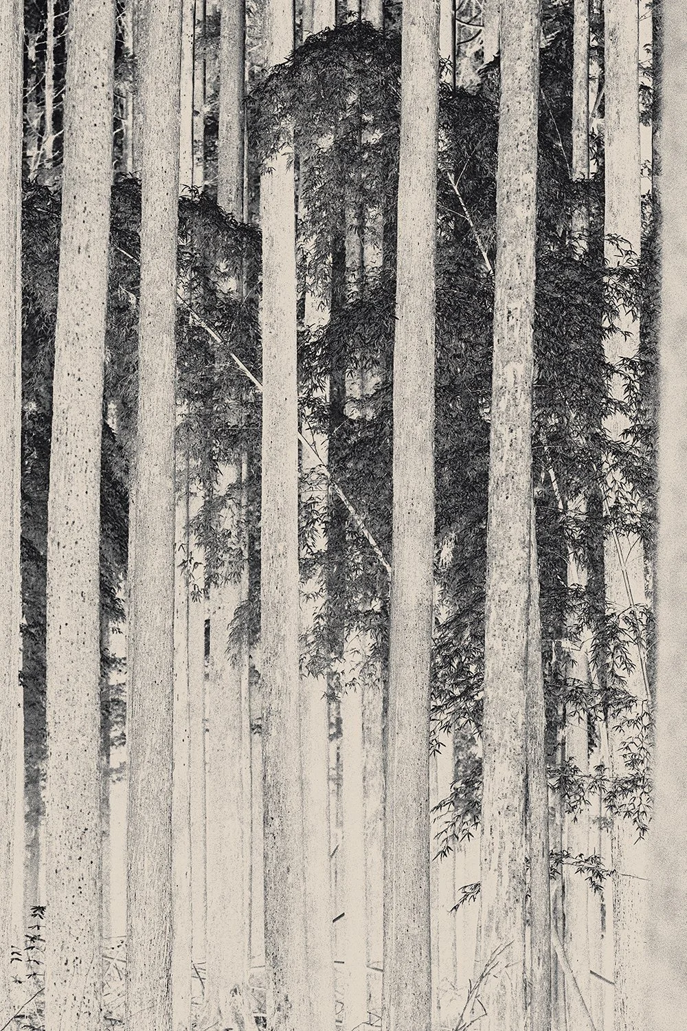 Eva Chupikova, fine art photography, fine art prints, limited edition, Japanese gardens, Japanese aesthethics, Kyoto, Japanese photography, award winning photographer, international photo award competition