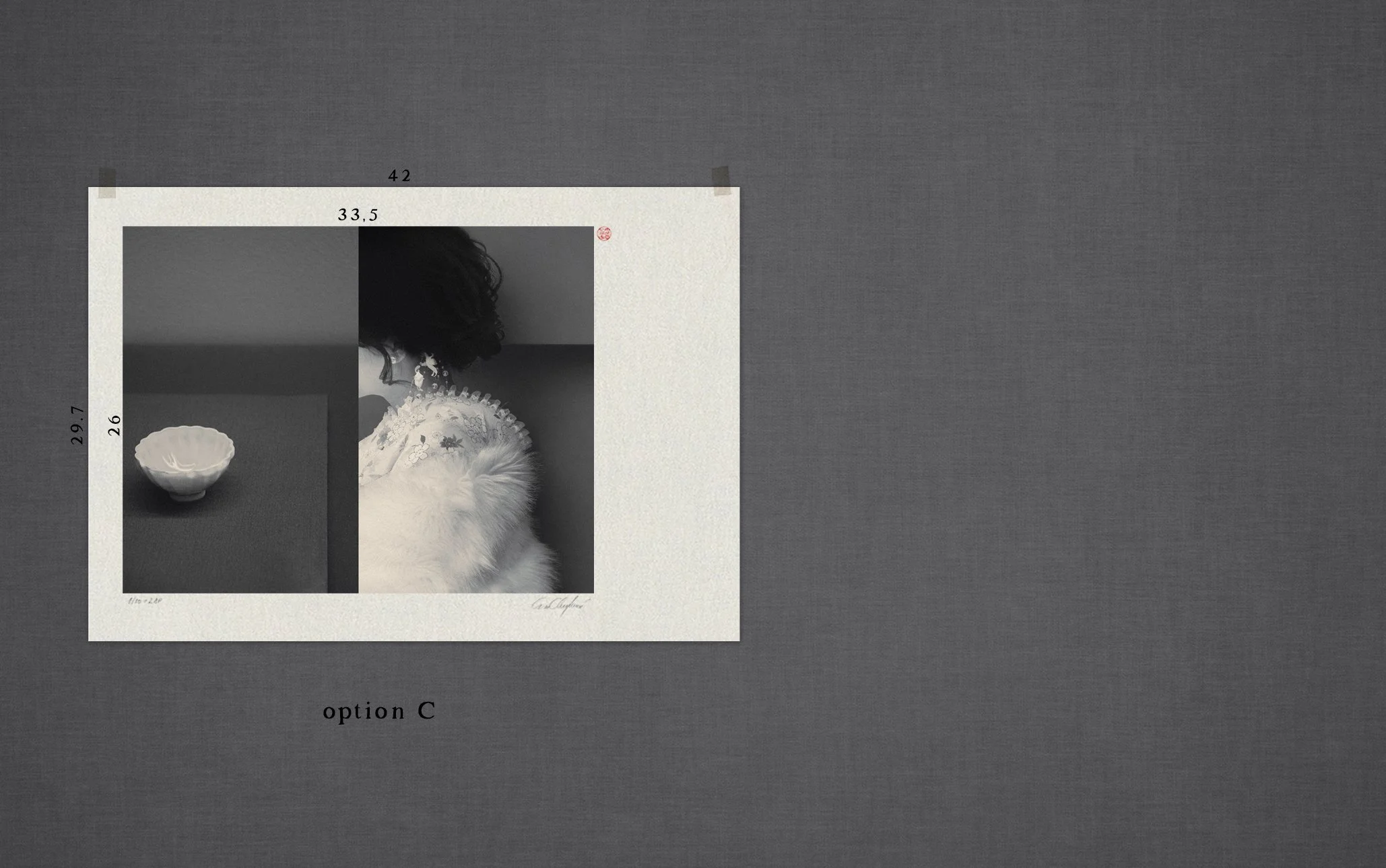 The Atrtist´s Choice Limited Edition represents a selection of photographs that I curated personally, sharing pieces that are closest to my heart. Fine Art Phgotography by Eva Chupikova. Each photograph is available in a limited edition of 10 prints.