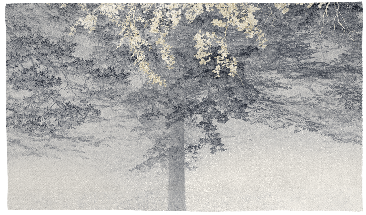 Eva Chupikova, fine art photography, fine art prints, limited edition, Japanese gardens, Japanese aesthethics, Kyoto, Japanese photography, award winning photographer, international photo award competition