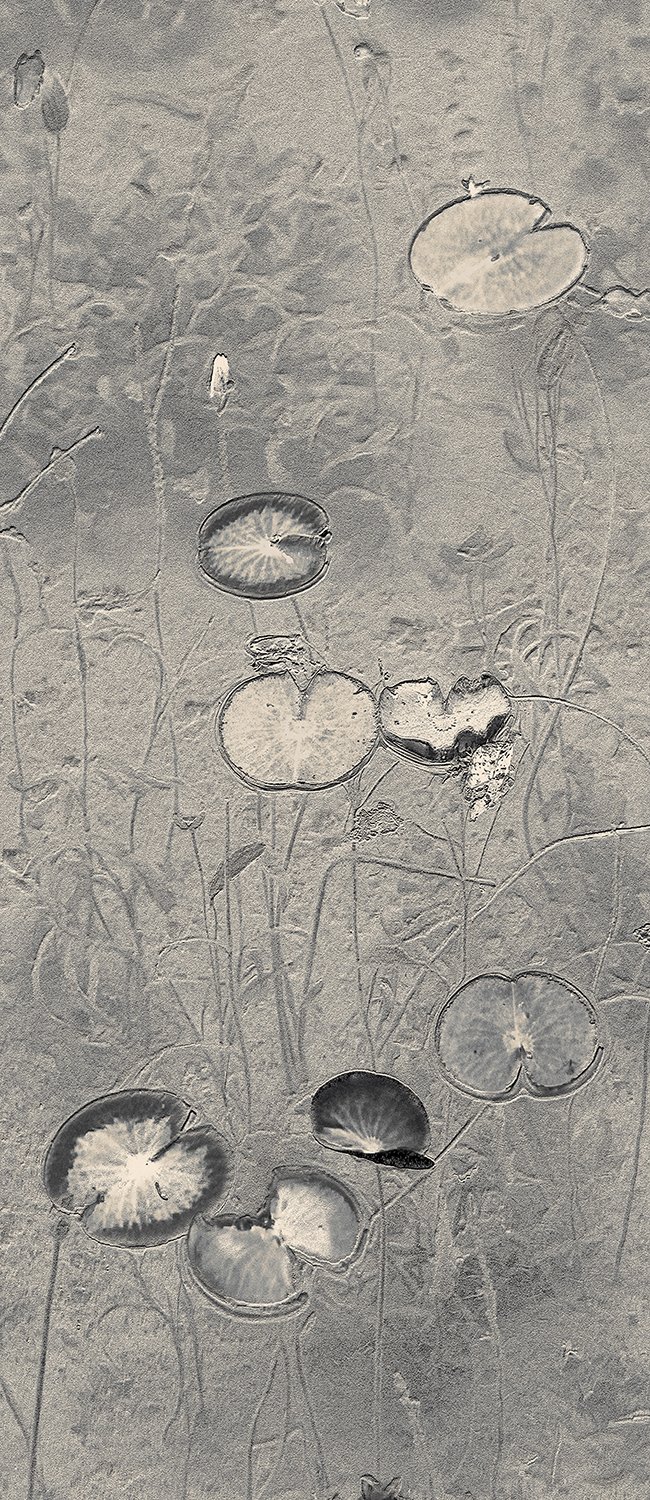 Eva Chupikova, fine art photography, fine art prints, limited edition, Japanese gardens, Japanese aesthethics, Kyoto, Japanese photography, award winning photographer, international photo award competition