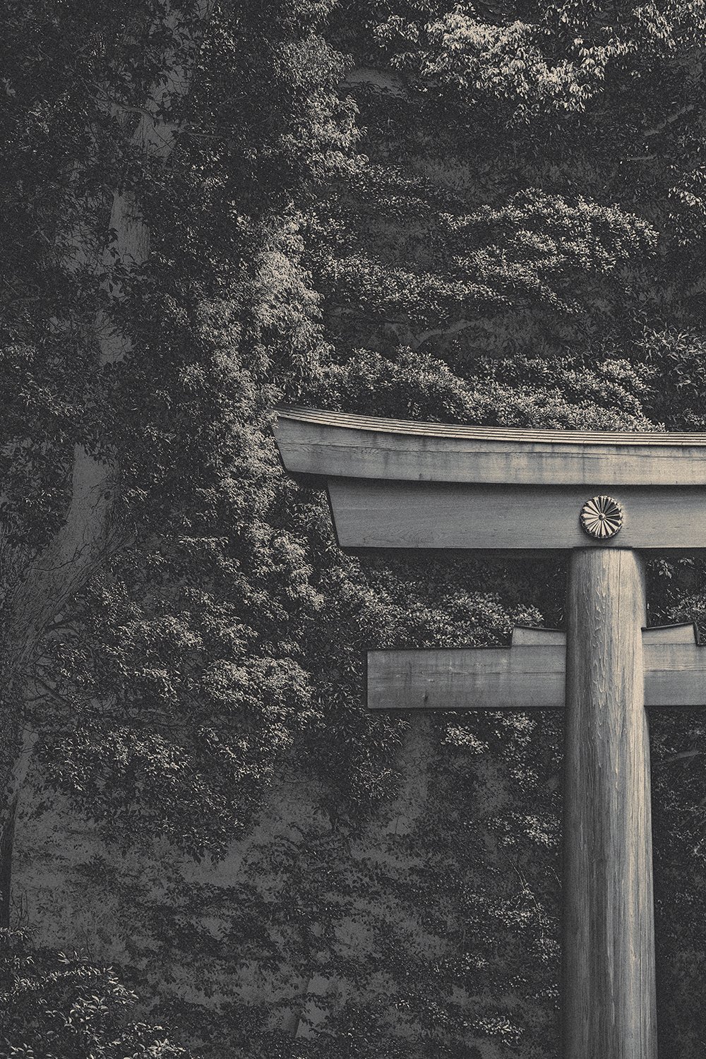 Eva Chupikova, fine art photography, fine art prints, limited edition, Japanese gardens, Japanese aesthethics, Kyoto, Japanese photography, award winning photographer, international photo award competition