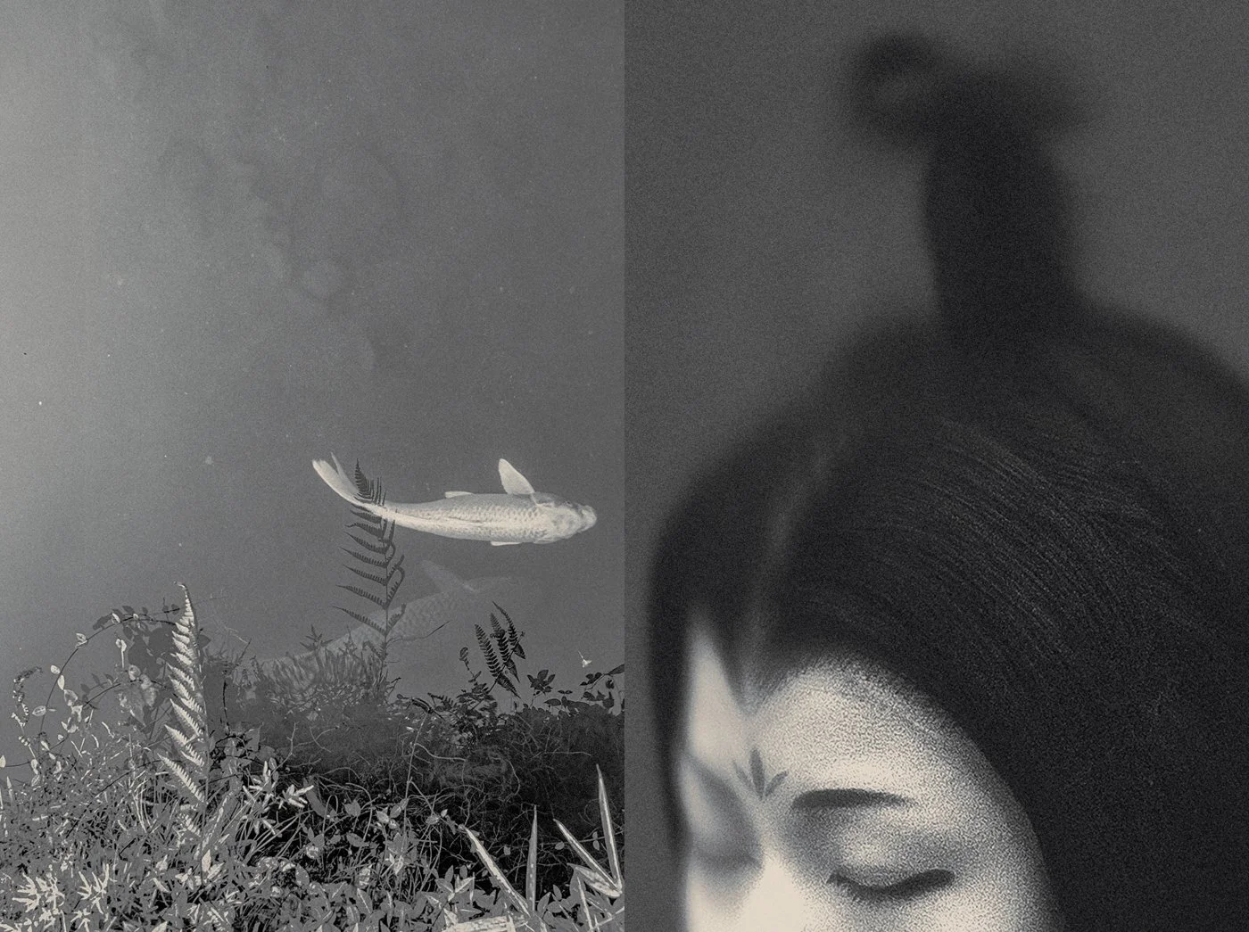 Eva Chupikova, fine art photography, fine art prints, limited edition, Japanese gardens, Japanese aesthethics, Kyoto, Japanese photography, award winning photographer, international photo award competition