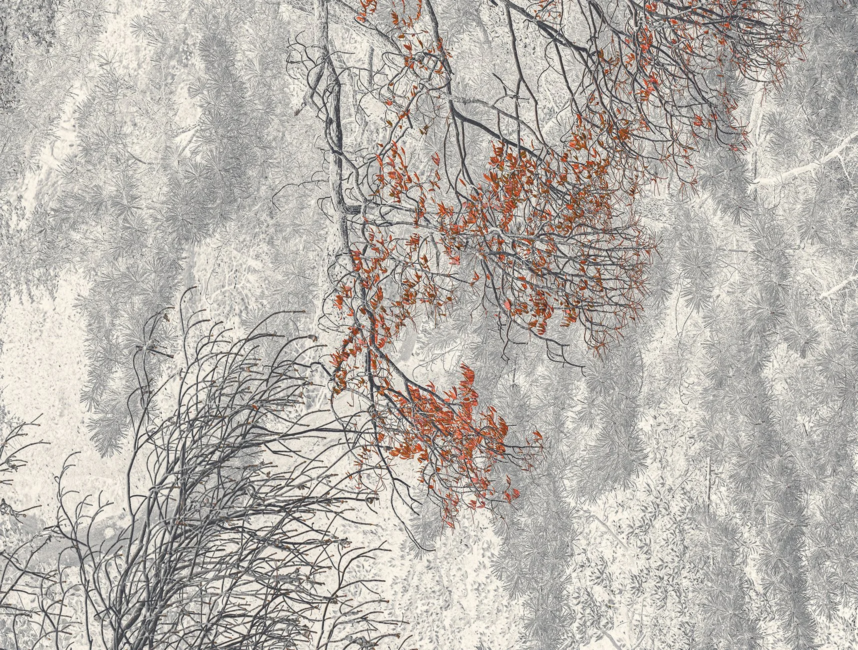 Eva Chupikova, fine art photography, fine art prints, limited edition, Japanese gardens, Japanese aesthethics, Kyoto, Japanese photography, award winning photographer, international photo award competition