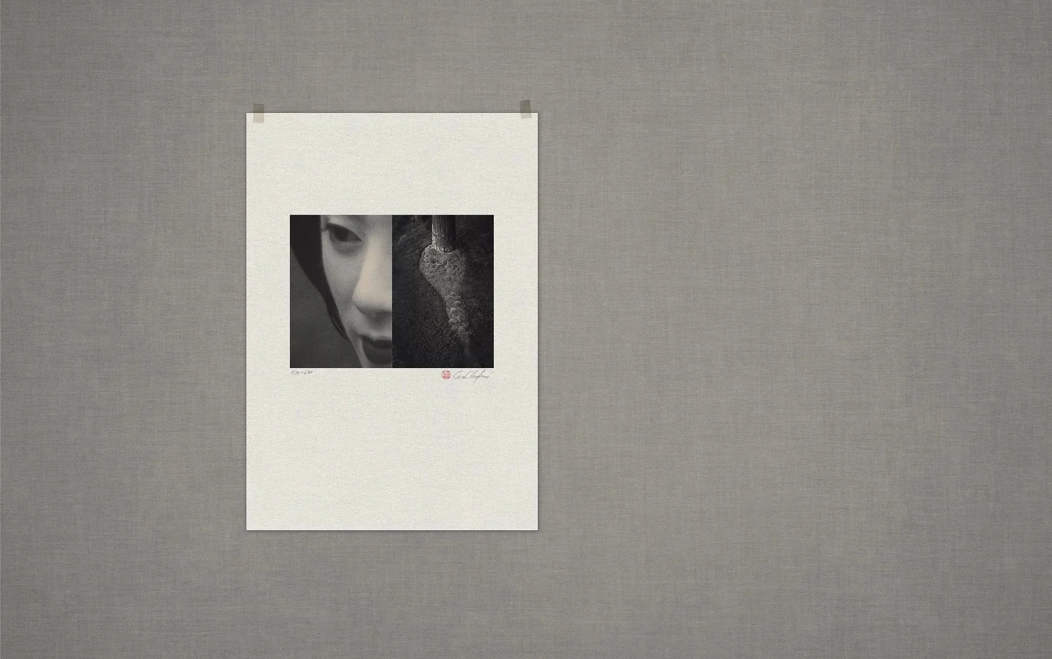 eva chupikova photography limited edition