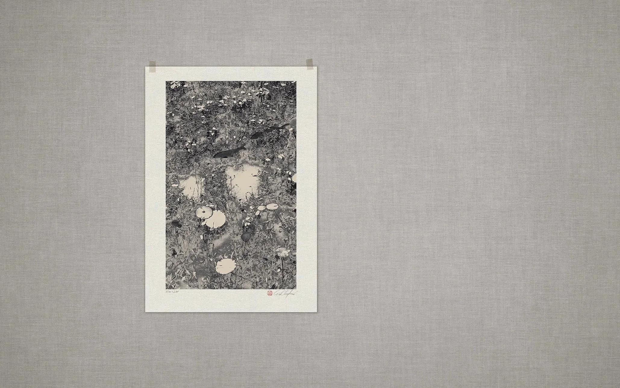 eva chupikova photography limited edition