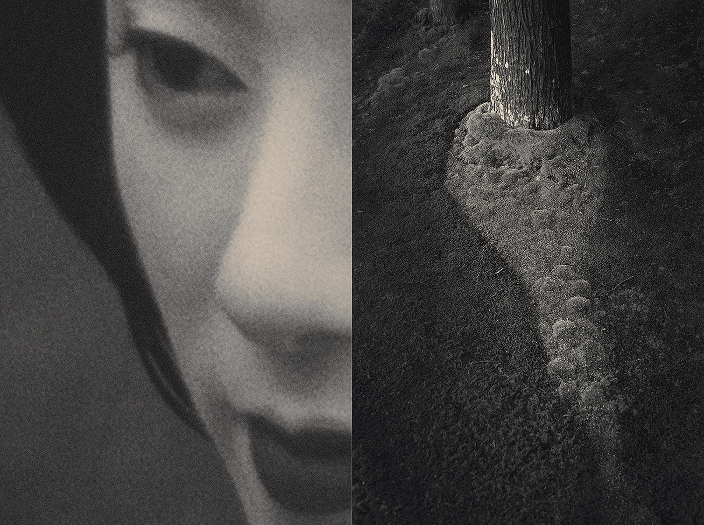 Eva Chupikova, fine art photography, fine art prints, limited edition, Japanese gardens, Japanese aesthethics, Kyoto, Japanese photography, award winning photographer, international photo award competition