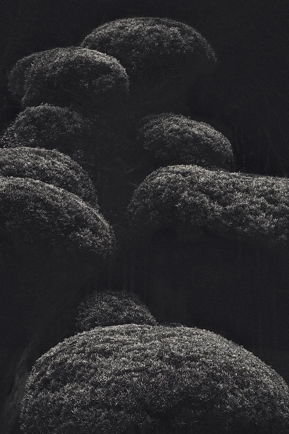 Eva Chupikova, fine art photography, fine art prints, limited edition, Japanese gardens, Japanese aesthethics, Kyoto, Japanese photography, award winning photographer, international photo award competition