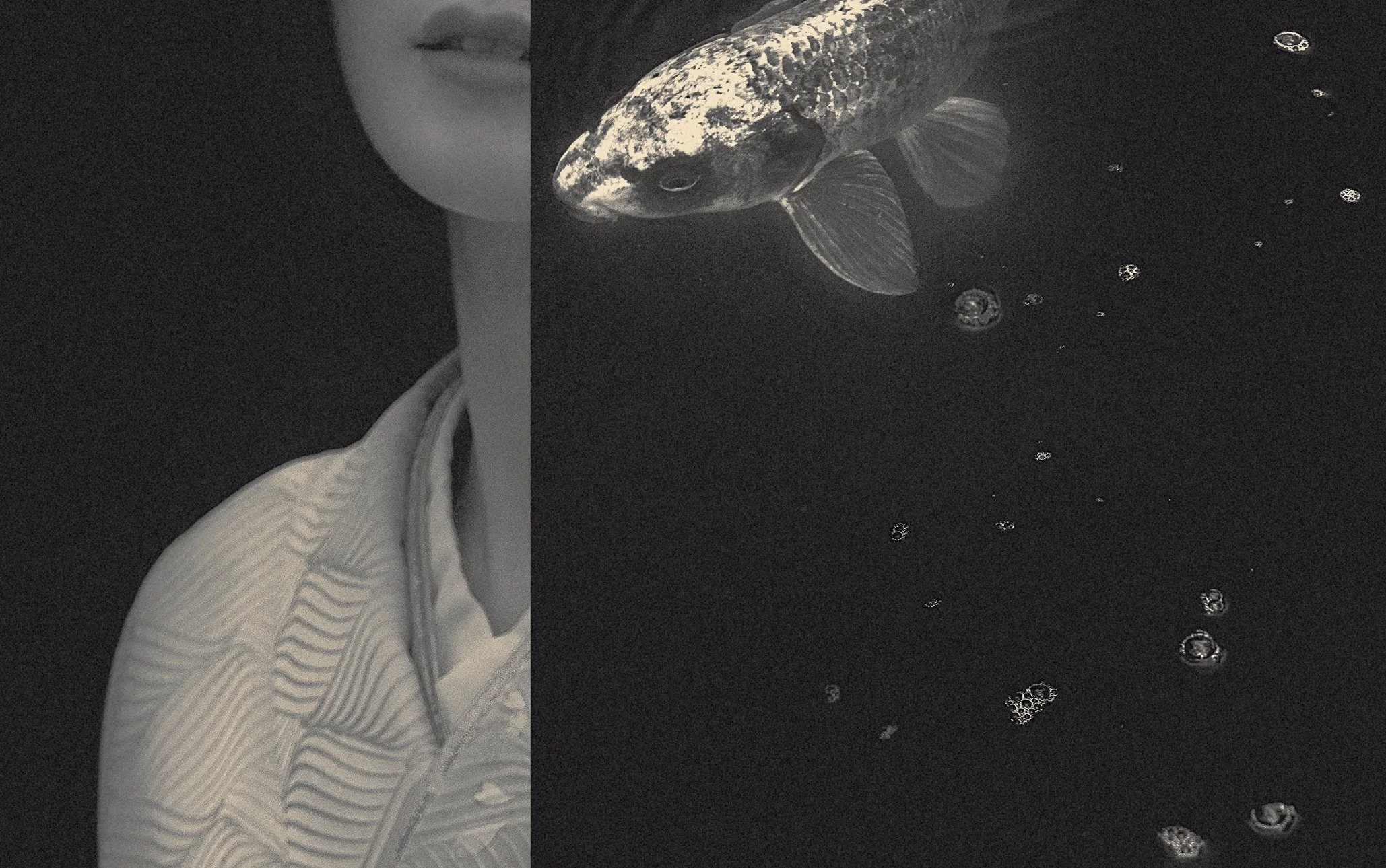 The Atrtist´s Choice Limited Edition represents a selection of photographs that I curated personally, sharing pieces that are closest to my heart. Fine Art Phgotography by Eva Chupikova. Each photograph is available in a limited edition of 10 prints.