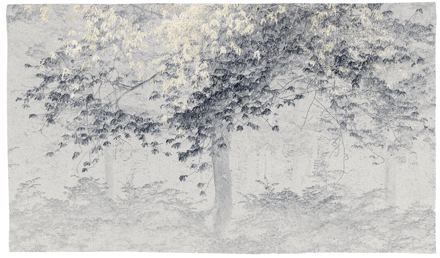 Eva Chupikova, fine art photography, fine art prints, limited edition, Japanese gardens, Japanese aesthethics, Kyoto, Japanese photography, award winning photographer, international photo award competition