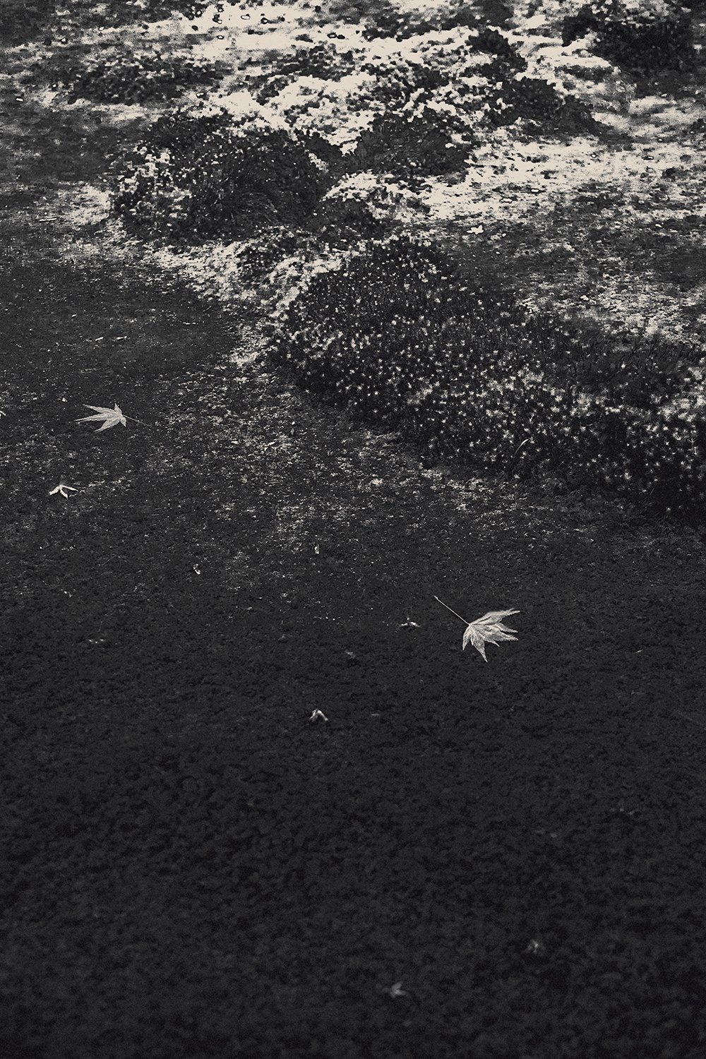 Eva Chupikova, fine art photography, fine art prints, limited edition, Japanese gardens, Japanese aesthethics, Kyoto, Japanese photography, award winning photographer, international photo award competition