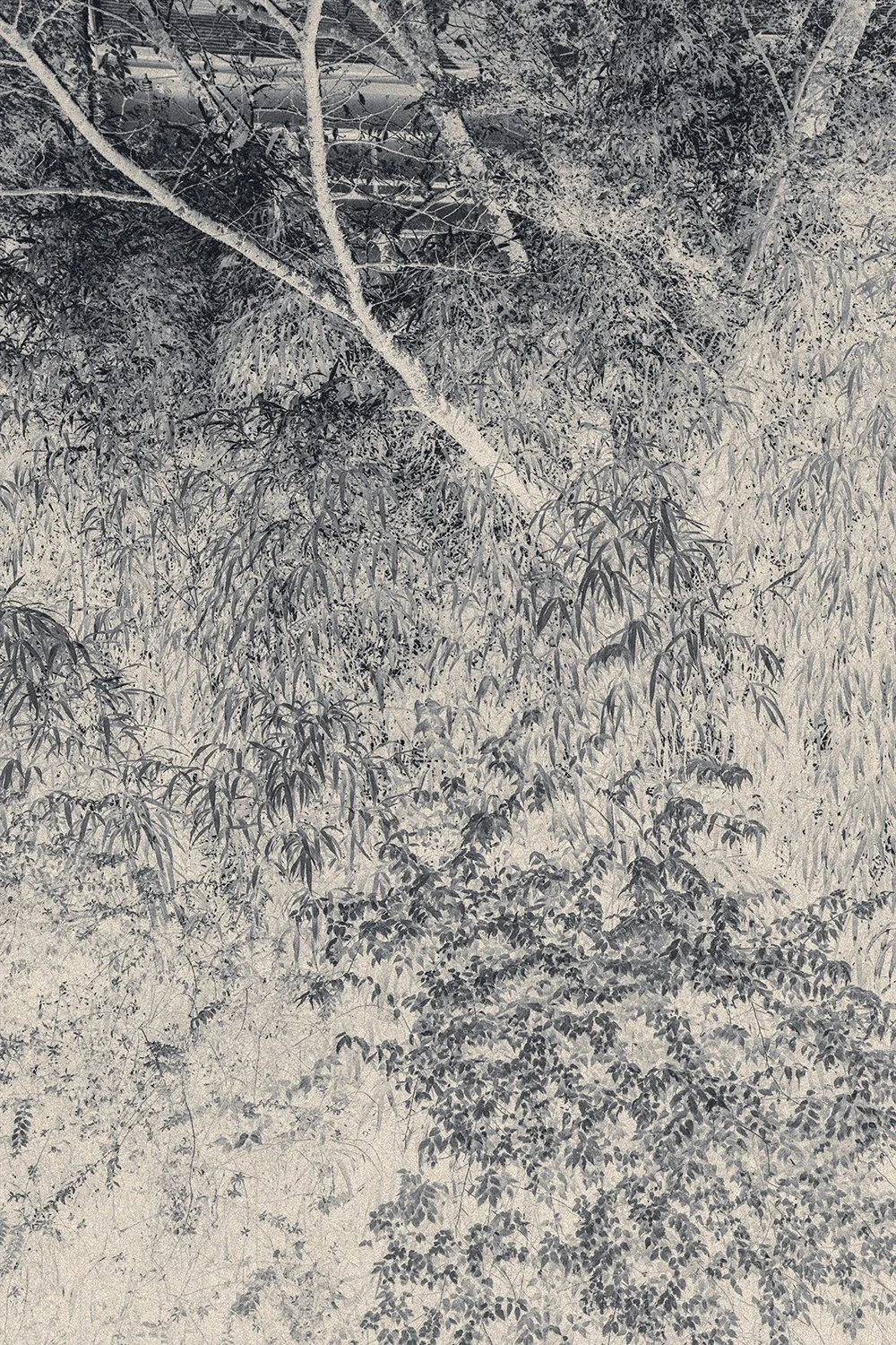 Eva Chupikova, fine art photography, fine art prints, limited edition, Japanese gardens, Japanese aesthethics, Kyoto, Japanese photography, award winning photographer, international photo award competition