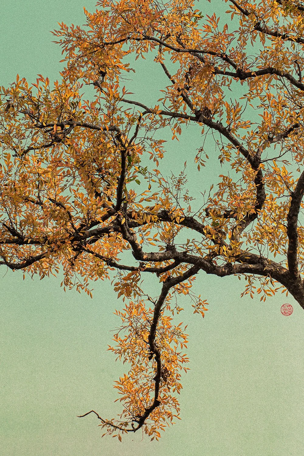 Eva Chupikova, fine art photography, fine art prints, limited edition, Japanese gardens, Japanese aesthethics, Kyoto, Japanese photography, award winning photographer, international photo award competition