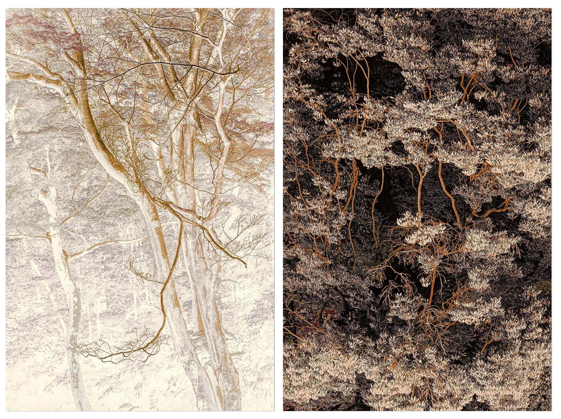 Eva Chupikova, fine art photography, fine art prints, limited edition, Japanese gardens, Japanese aesthethics, Kyoto, Japanese photography, award winning photographer, international photo award competition, Japan Fine Art photography, Japanese aesthe