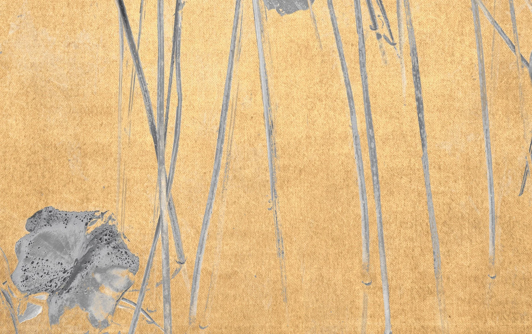 The Atrtist´s Choice Limited Edition represents a selection of photographs that I curated personally, sharing pieces that are closest to my heart. Fine Art Phgotography by Eva Chupikova. Each photograph is available in a limited edition of 10 prints.